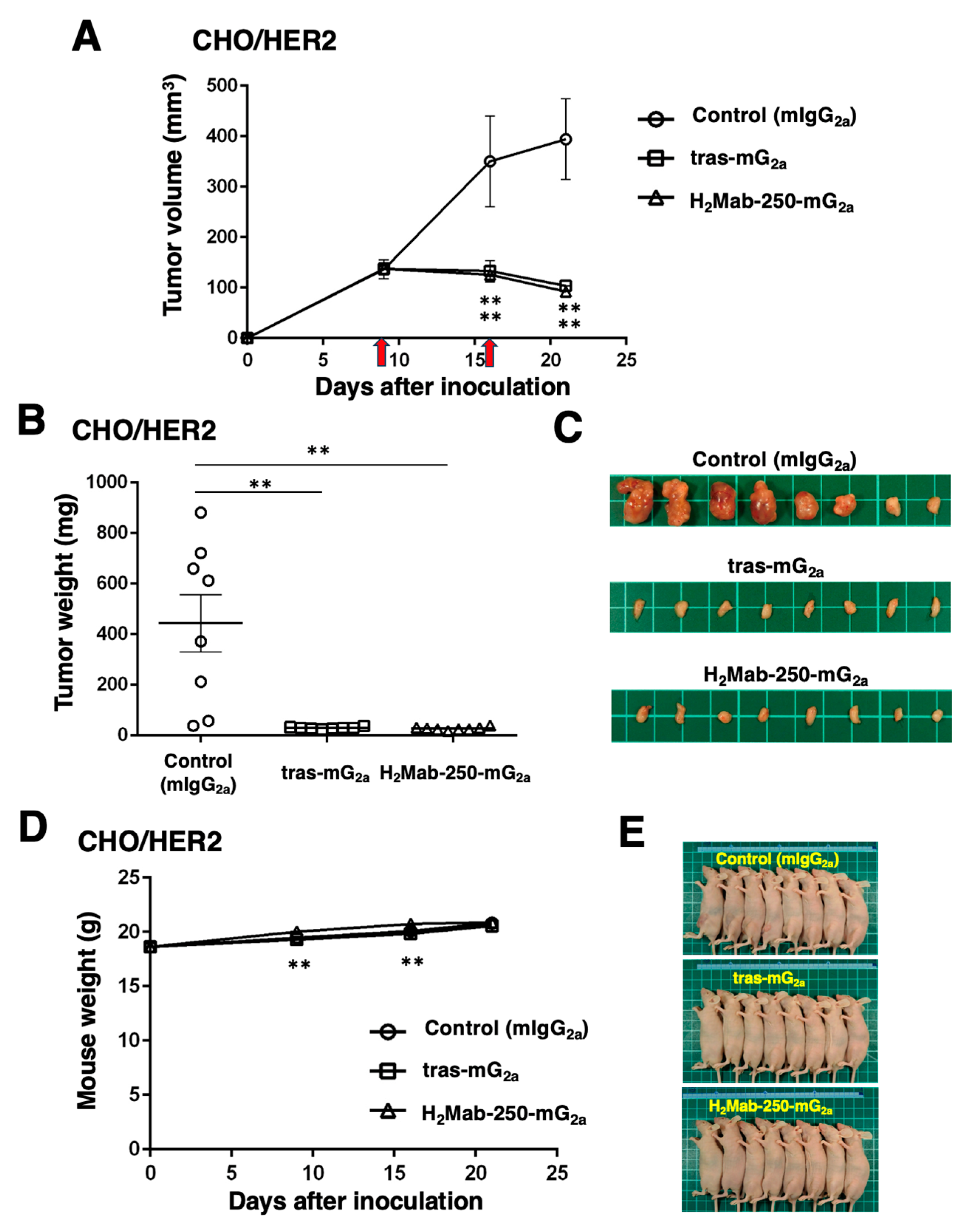 Preprints 111768 g005