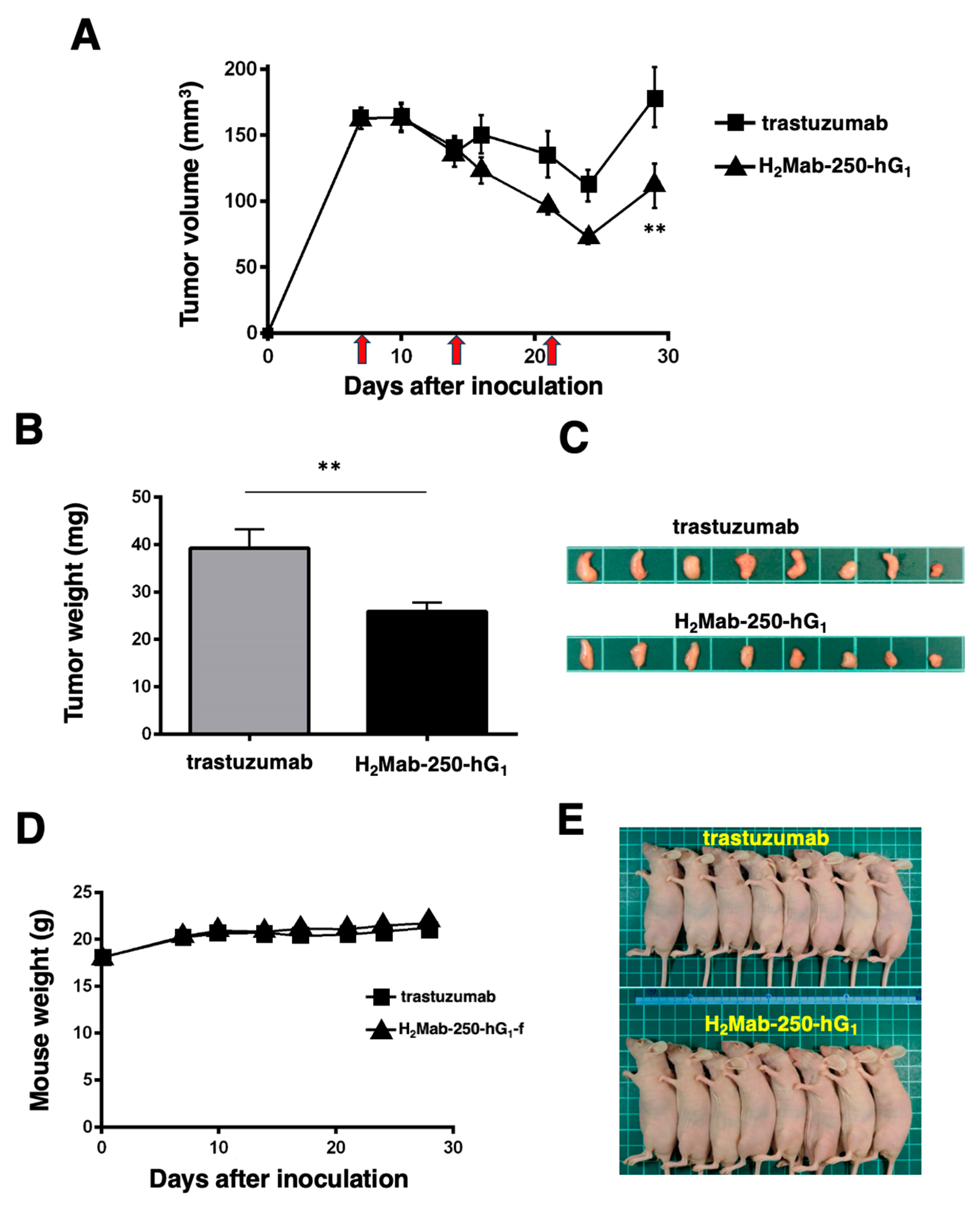 Preprints 111768 g006