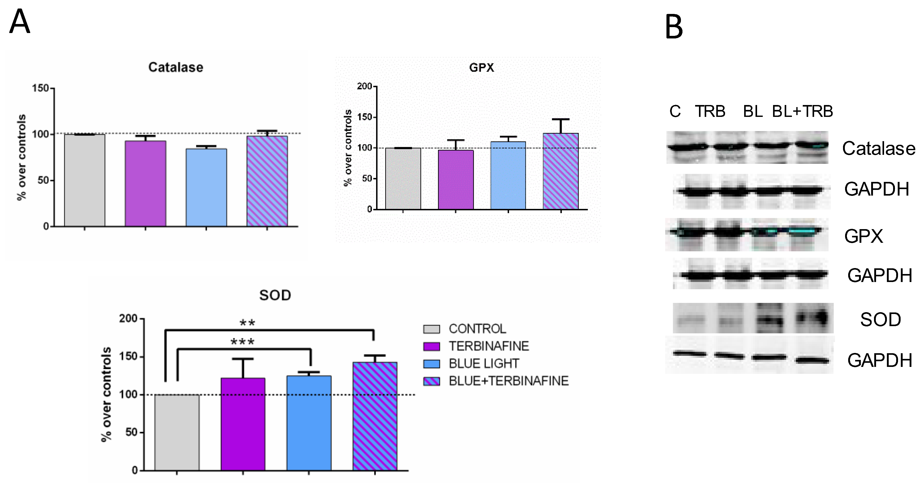 Preprints 103514 g003