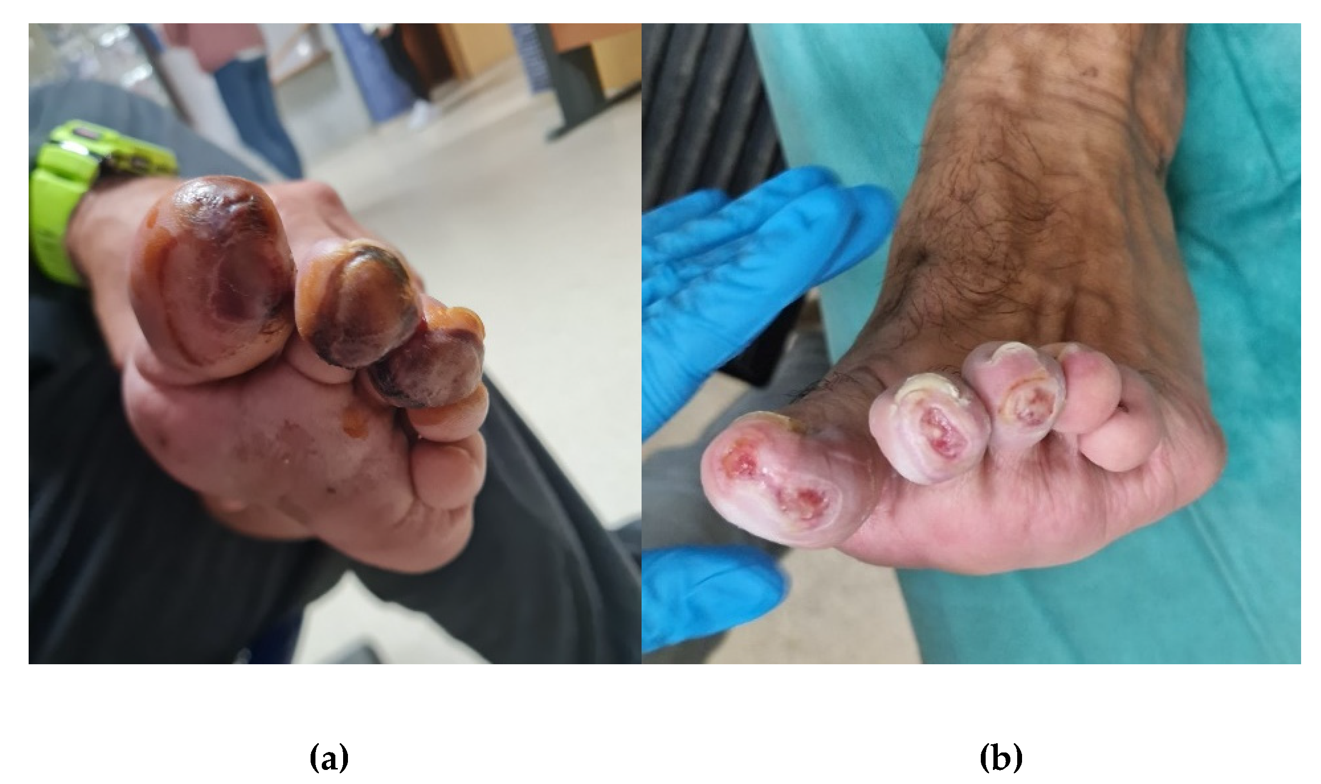 Preprints 82137 g004