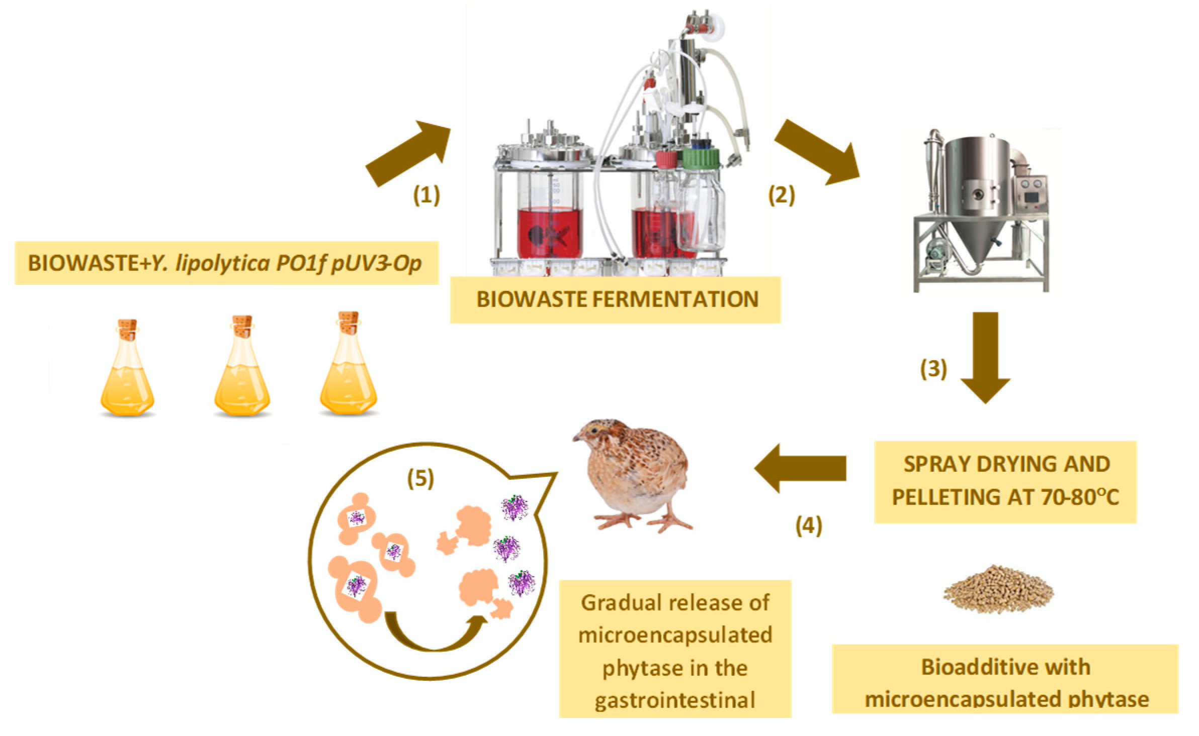 Preprints 82588 g003