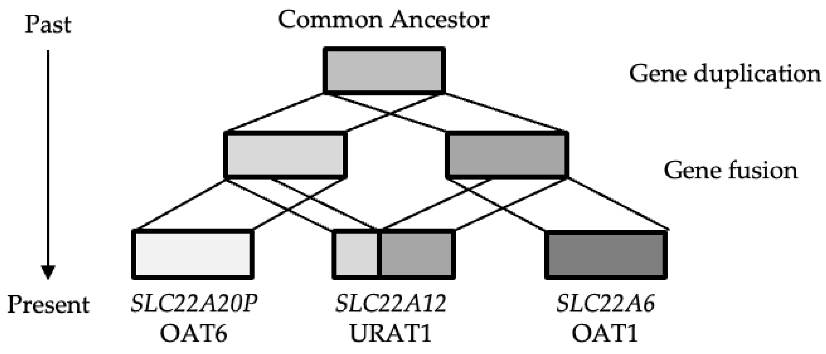 Preprints 119151 g002