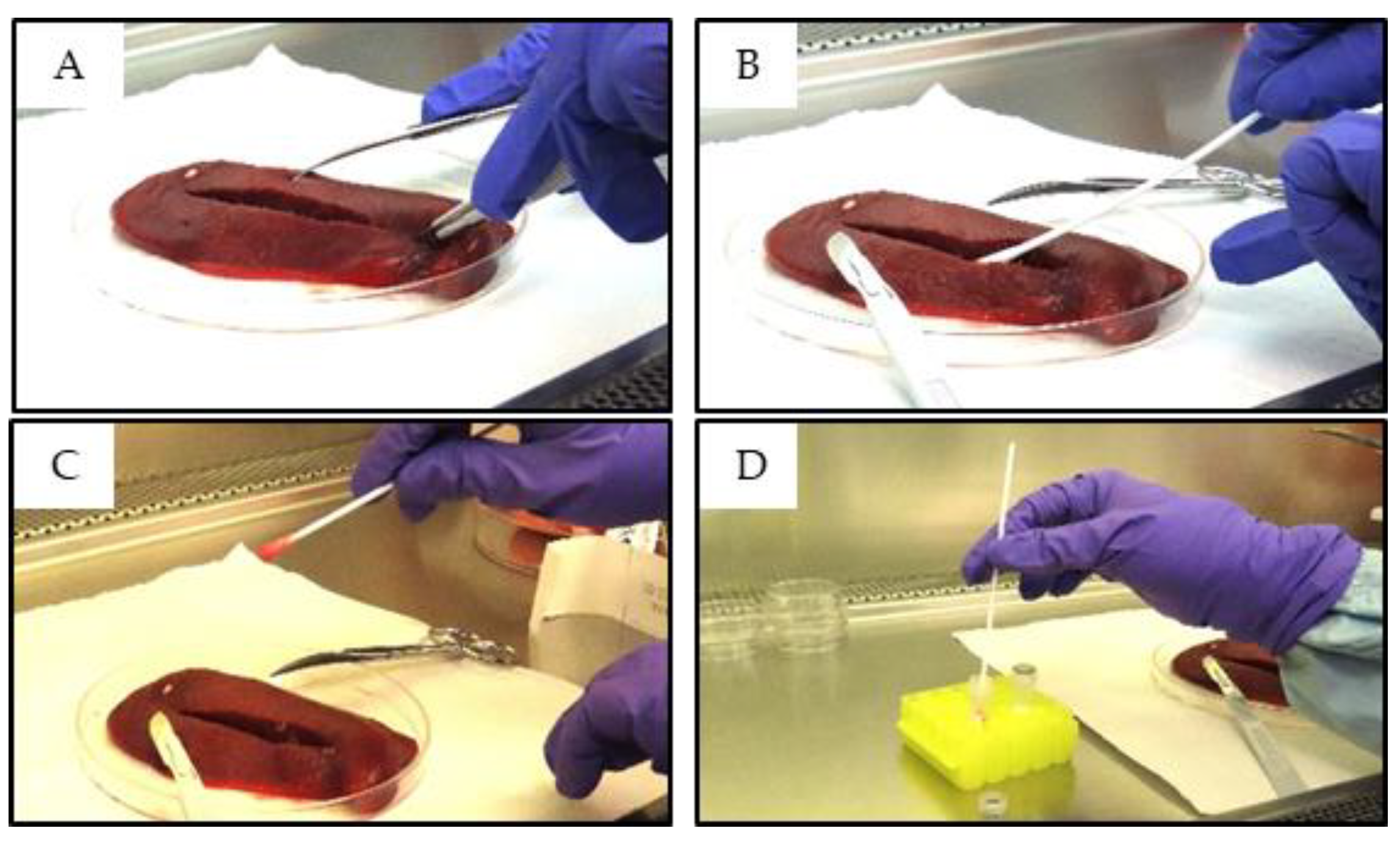 Preprints 113326 g001