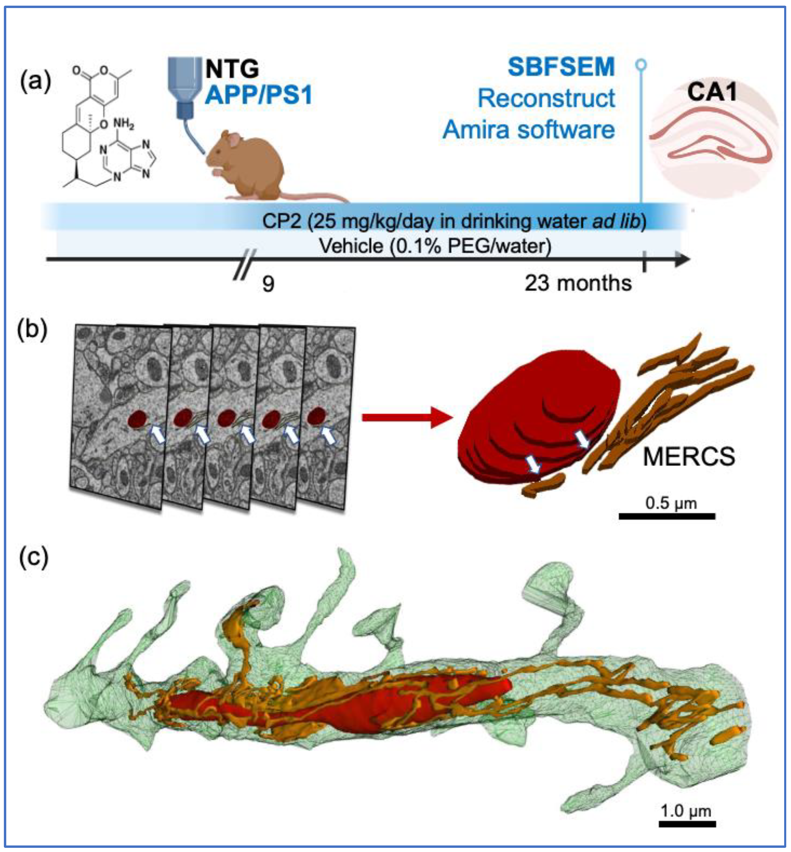 Preprints 67670 g001