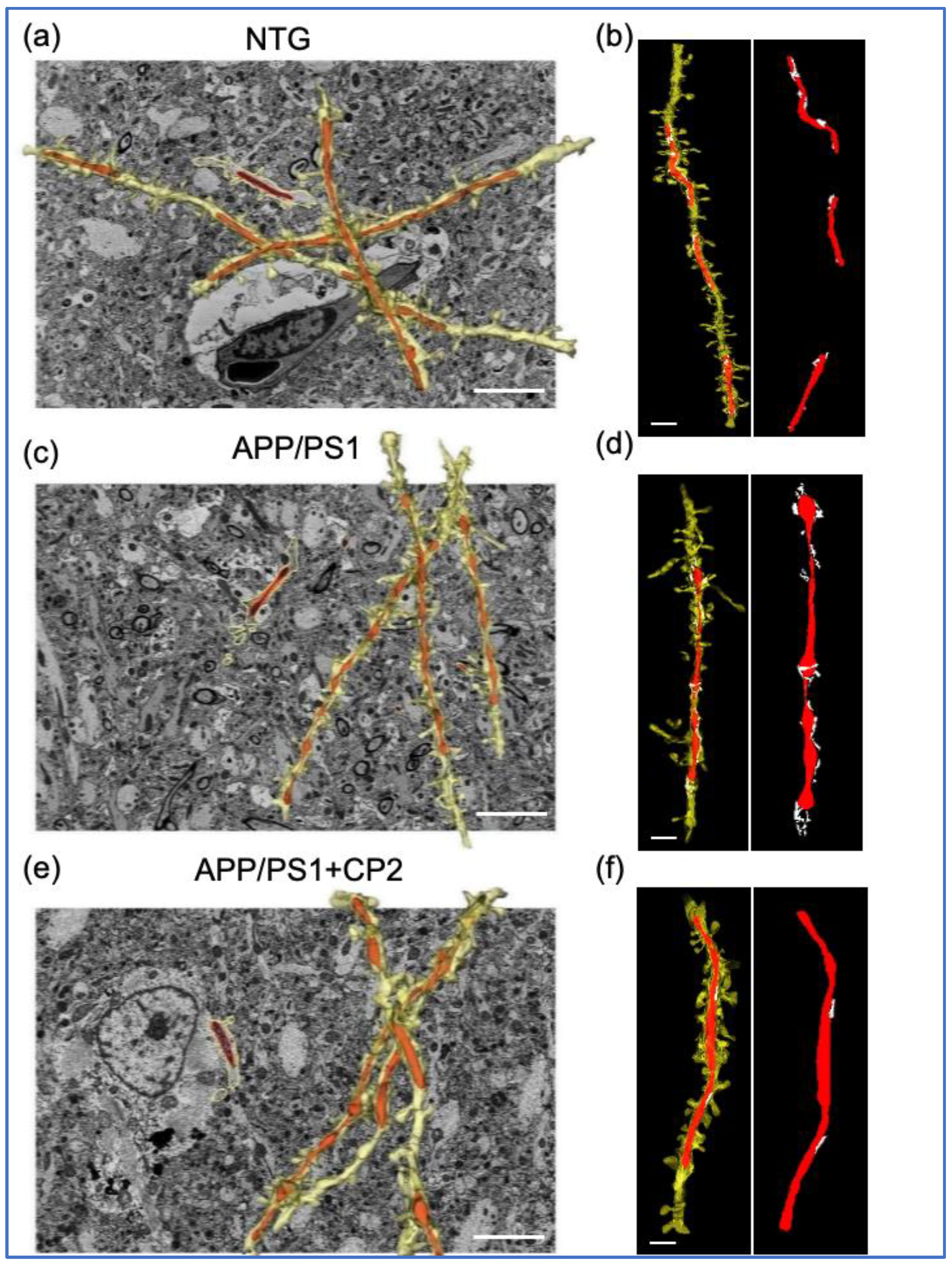 Preprints 67670 g002