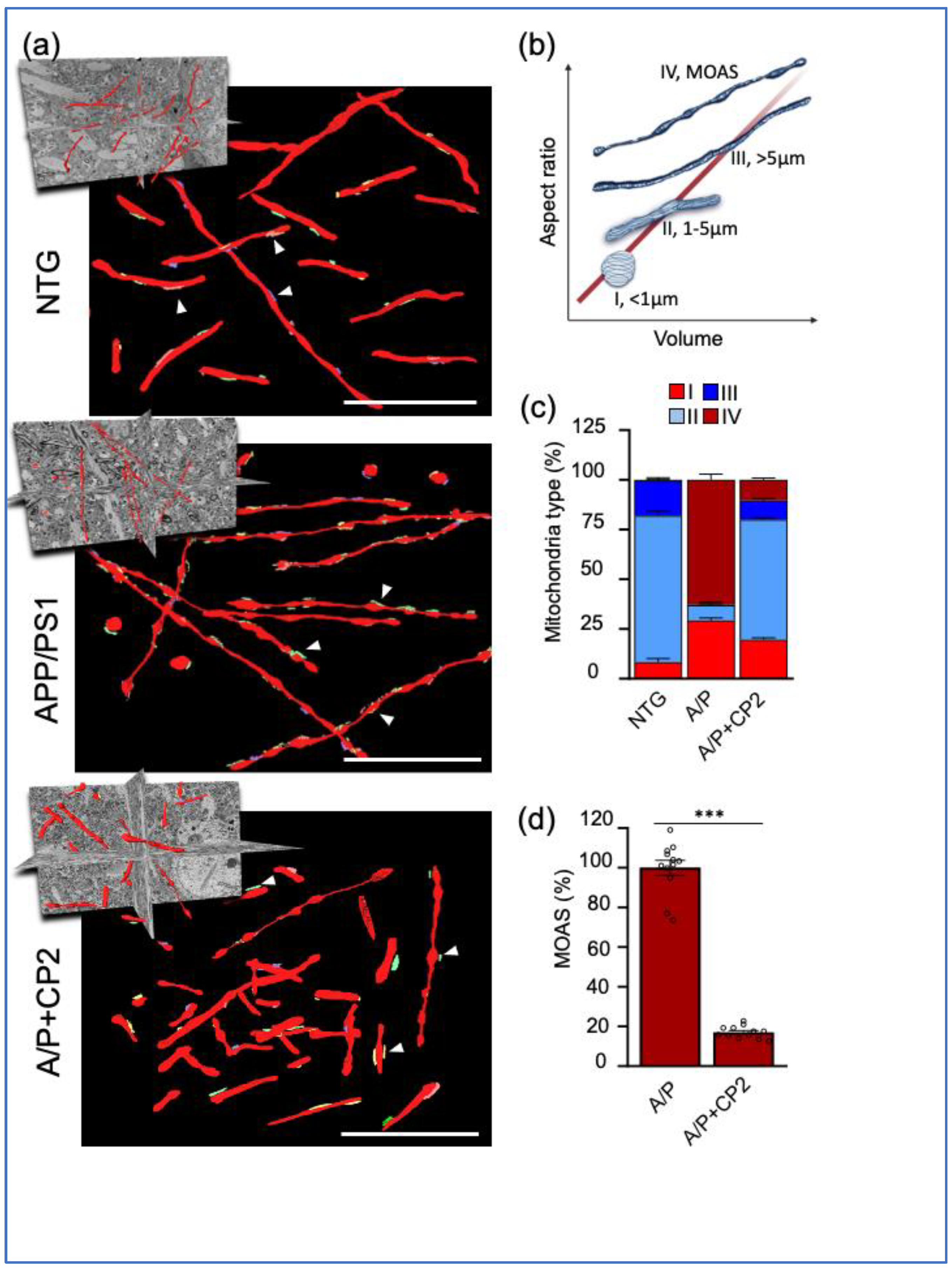 Preprints 67670 g003