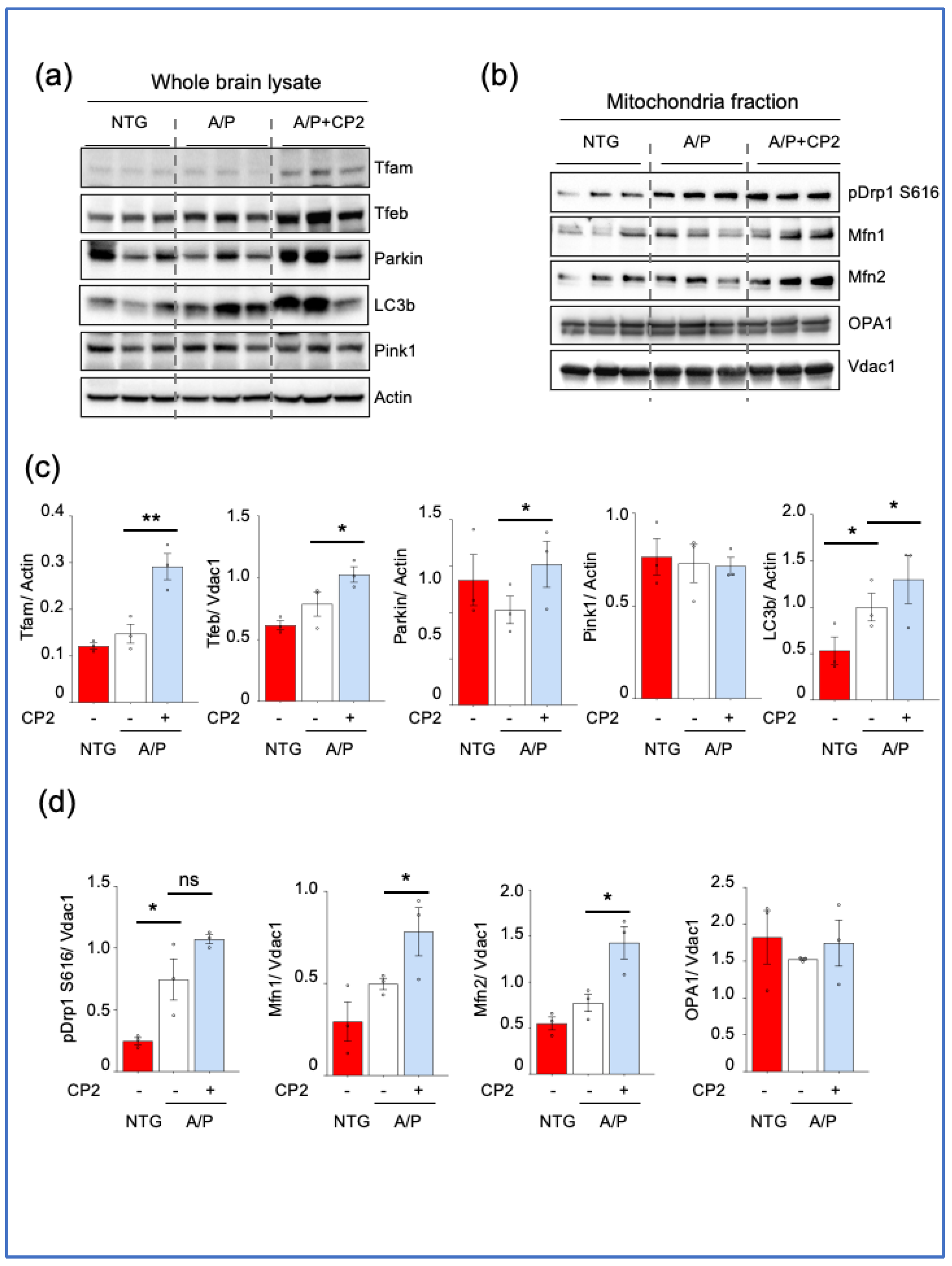 Preprints 67670 g005