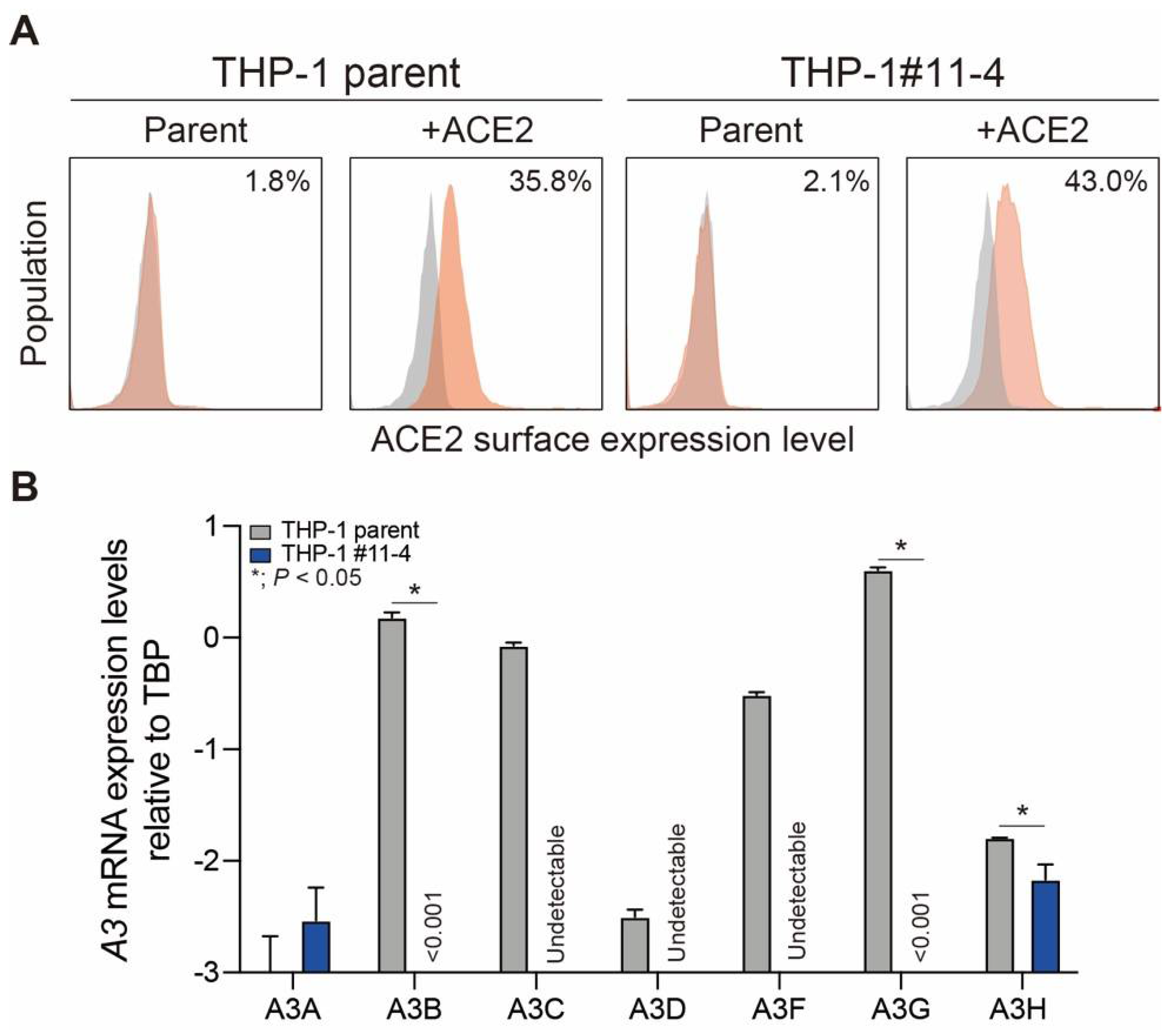 Preprints 109520 g001