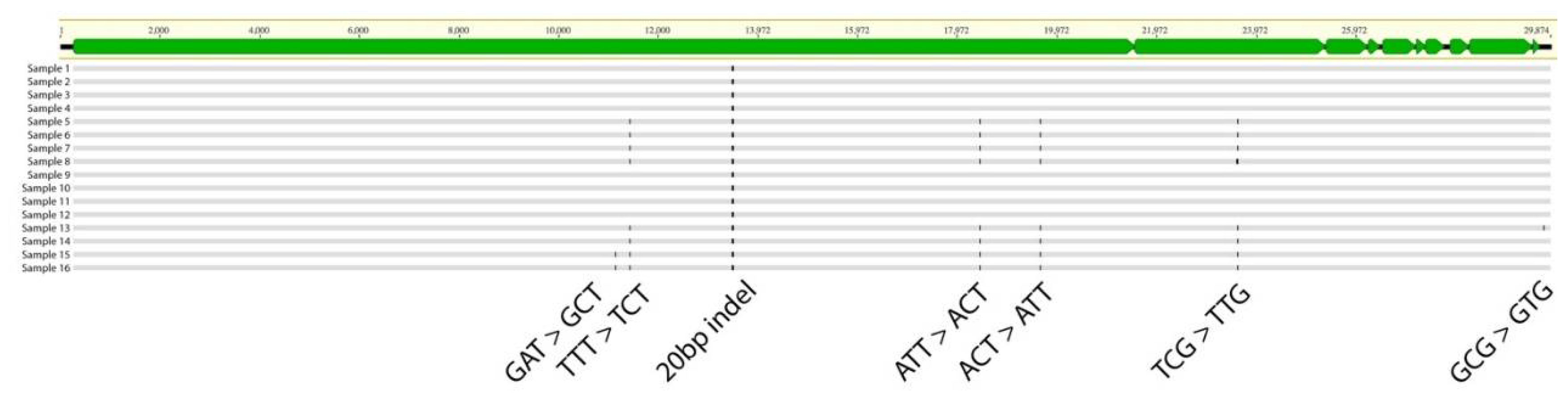 Preprints 109520 g004