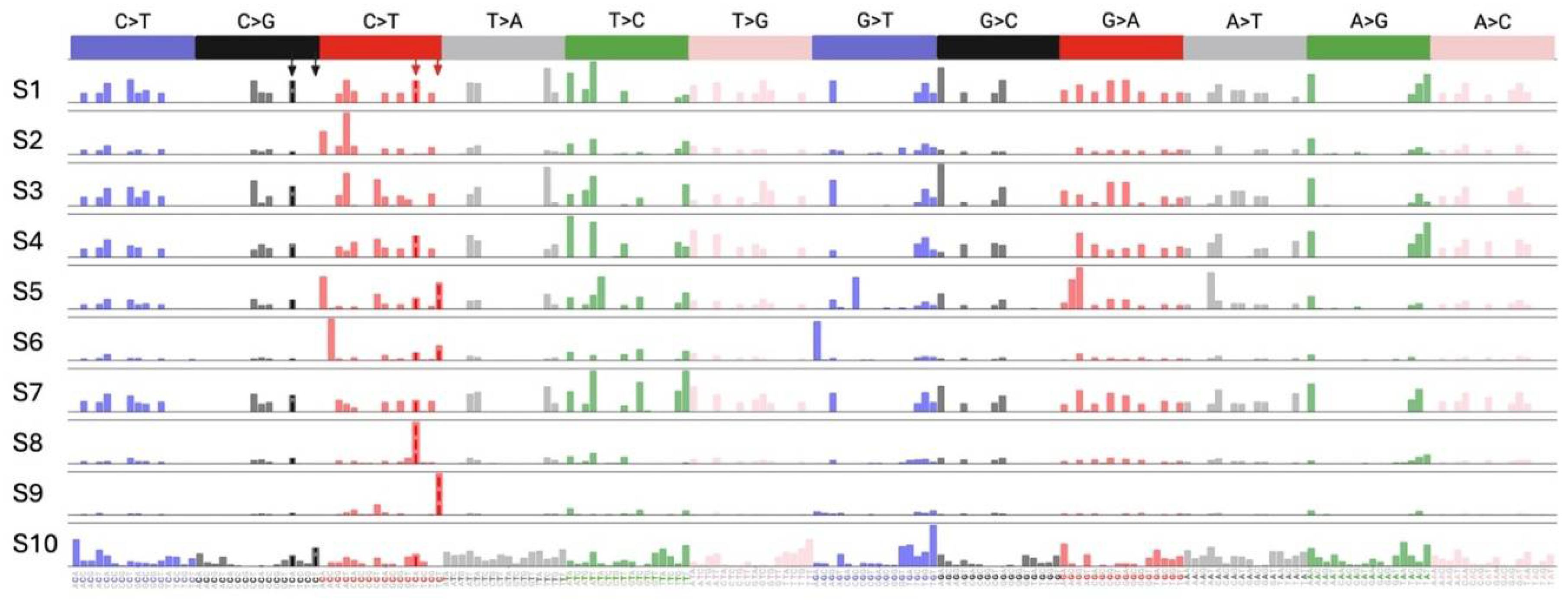 Preprints 109520 g005