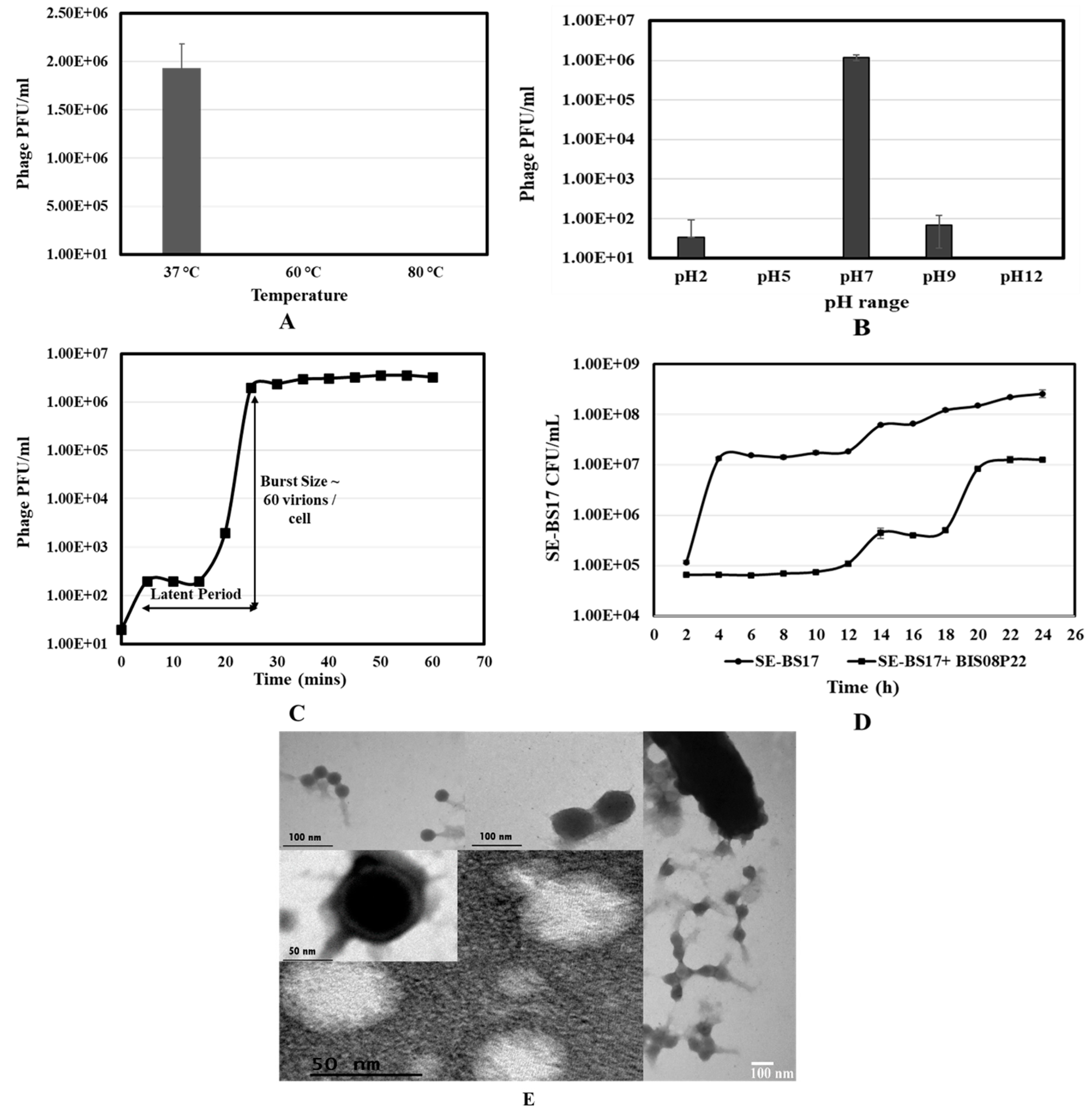 Preprints 86718 g001