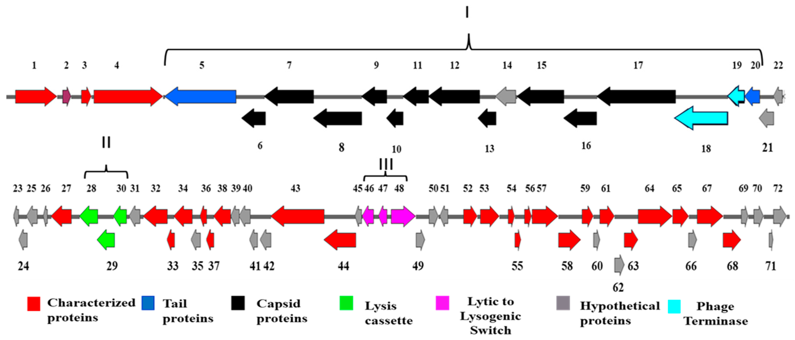 Preprints 86718 g002