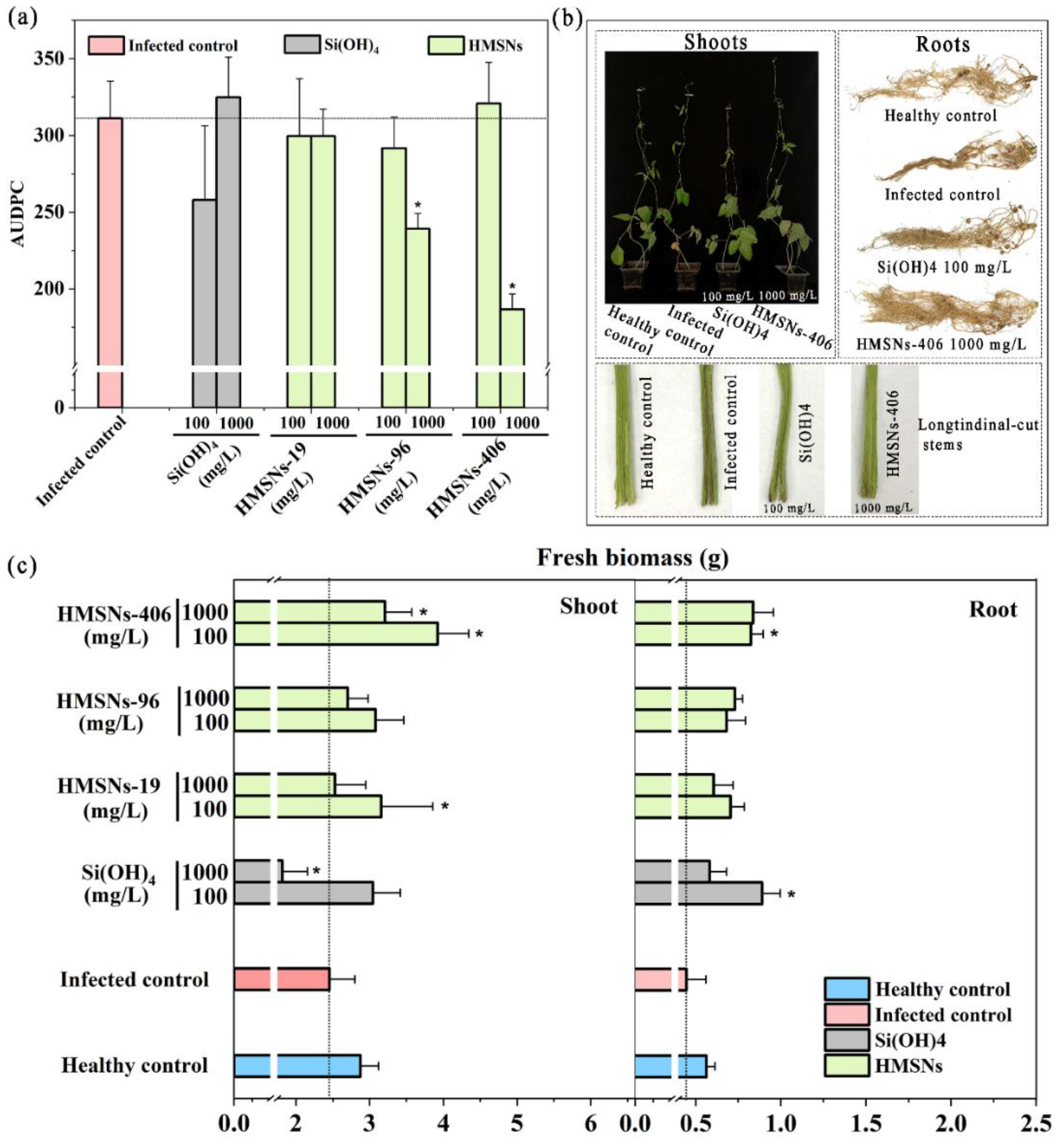 Preprints 99963 g004