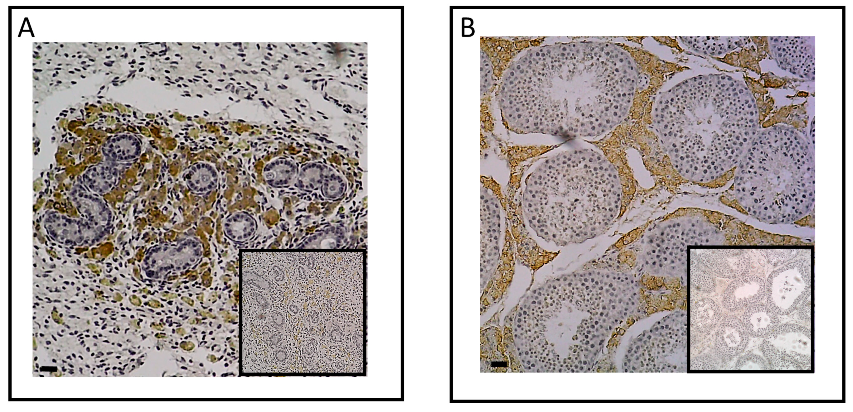 Preprints 86431 g003