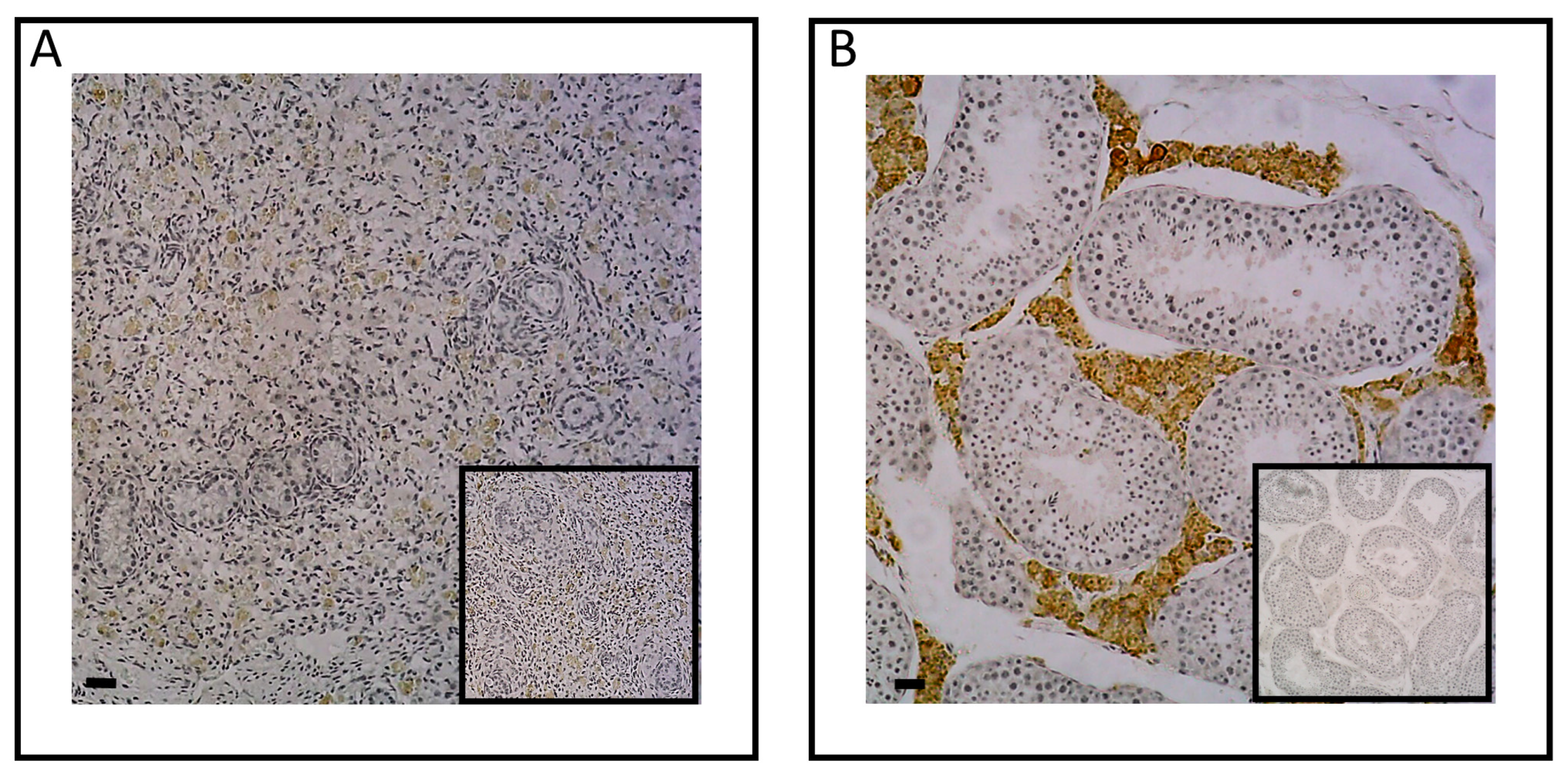 Preprints 86431 g005