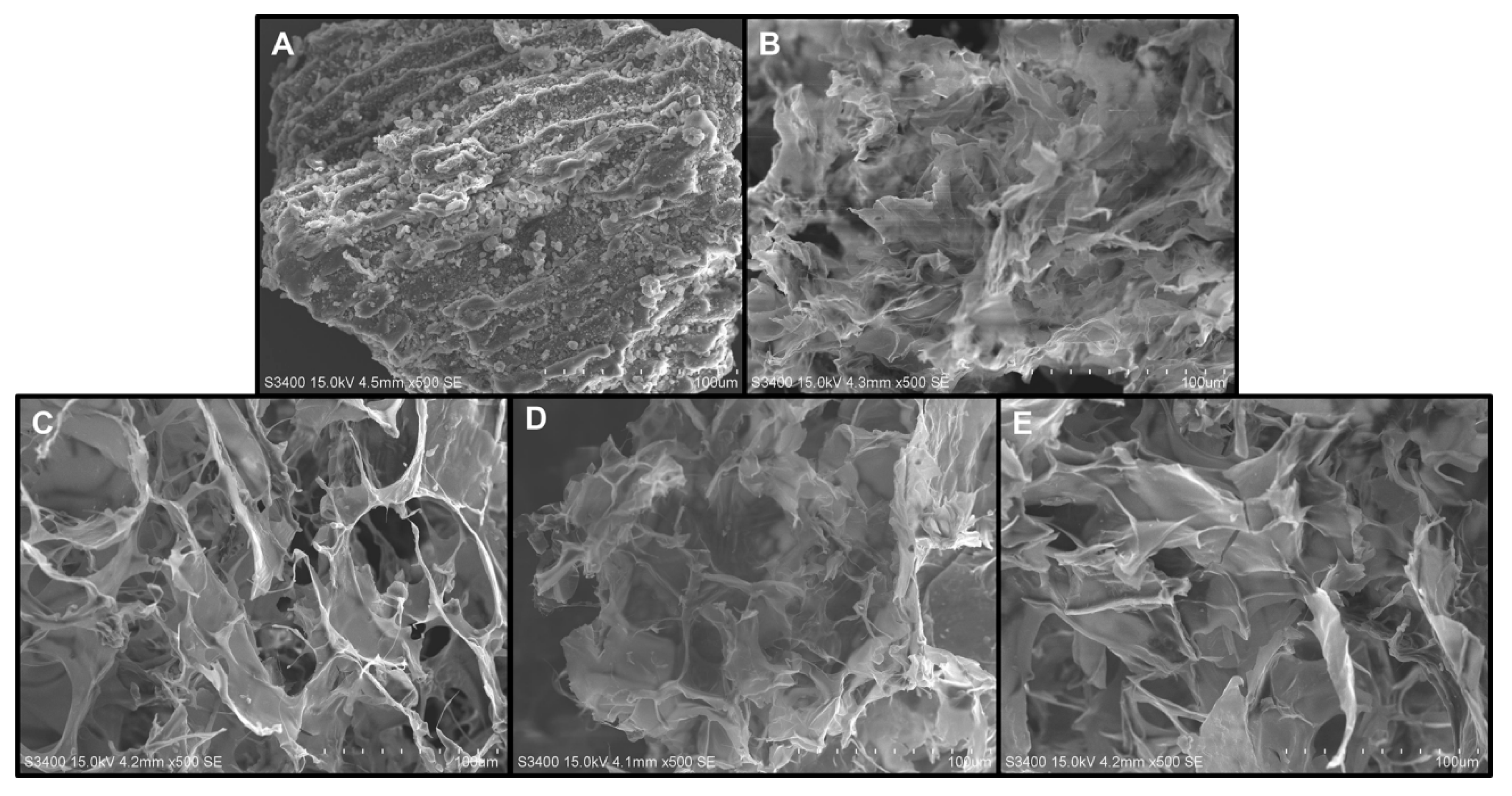 Preprints 78697 g004