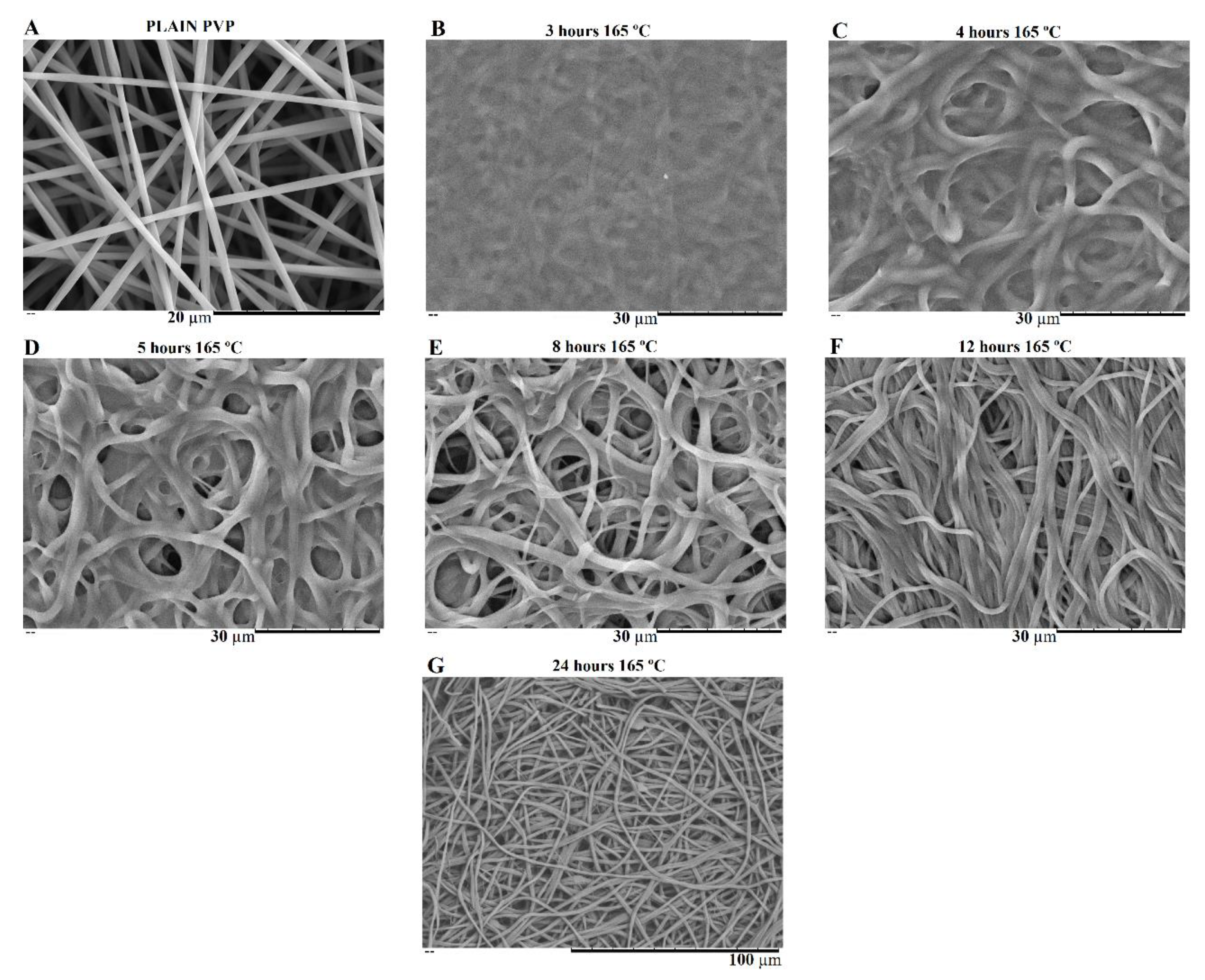 Preprints 71284 g006