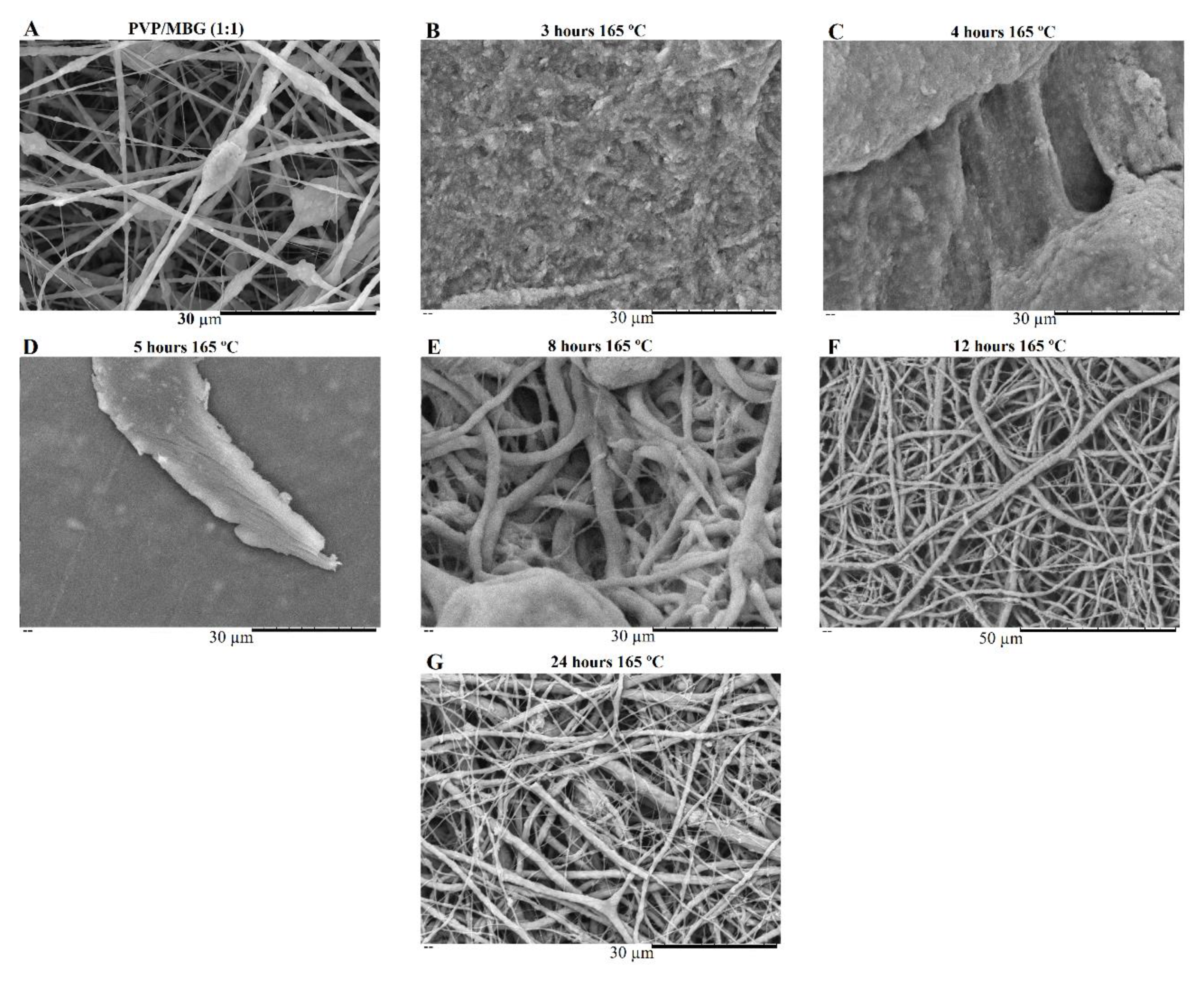 Preprints 71284 g007