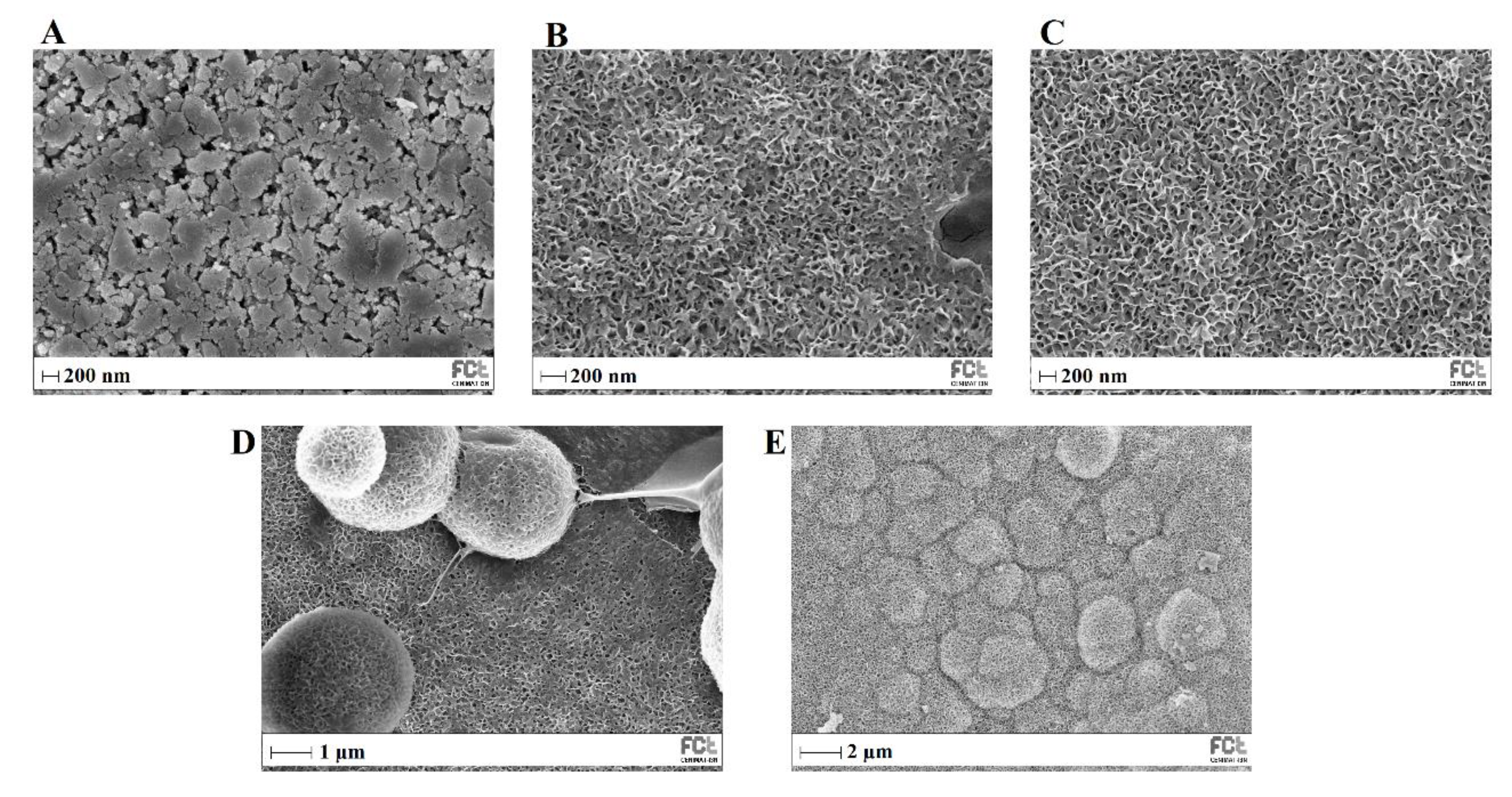 Preprints 71284 g013