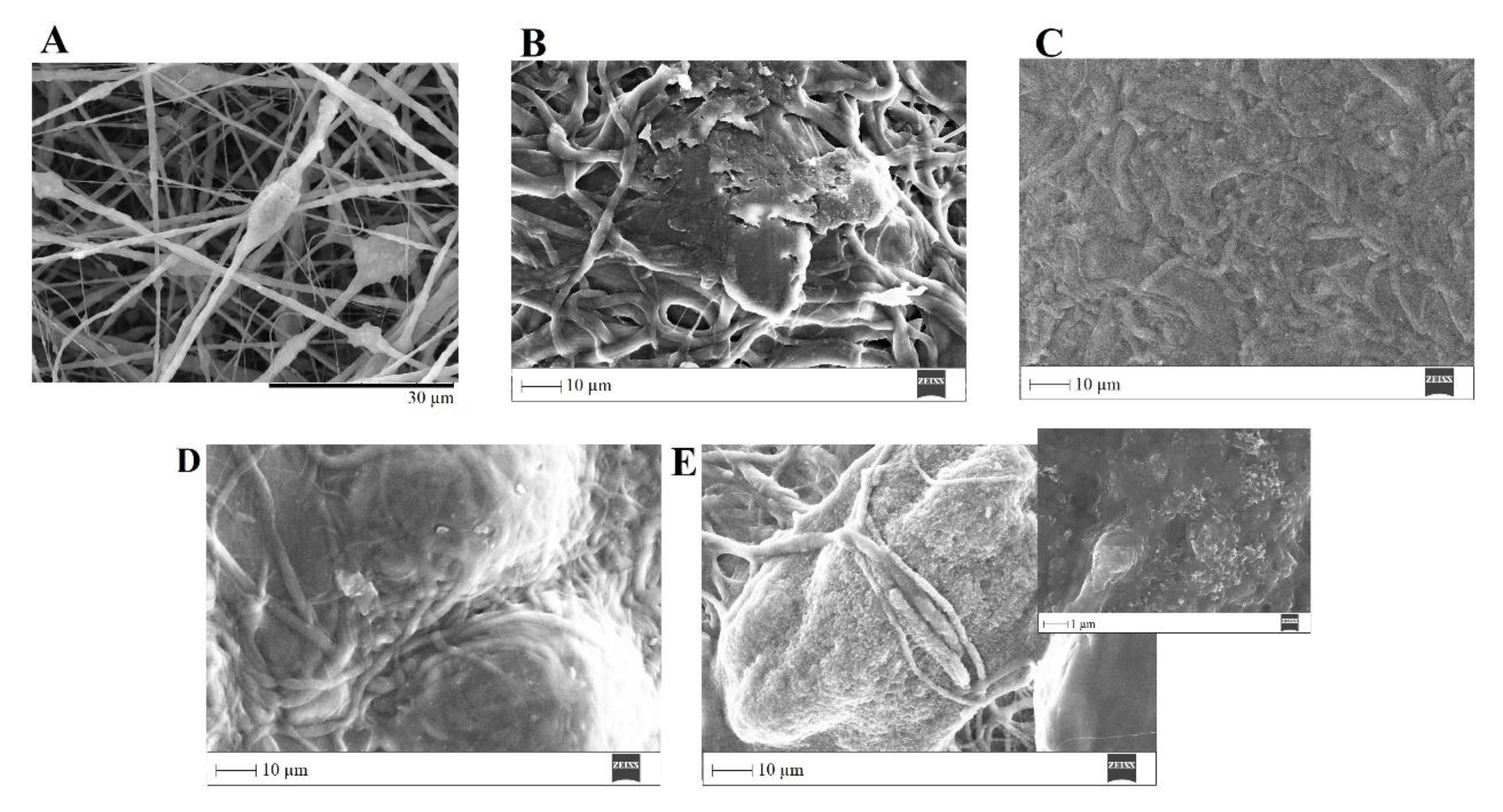 Preprints 71284 g015