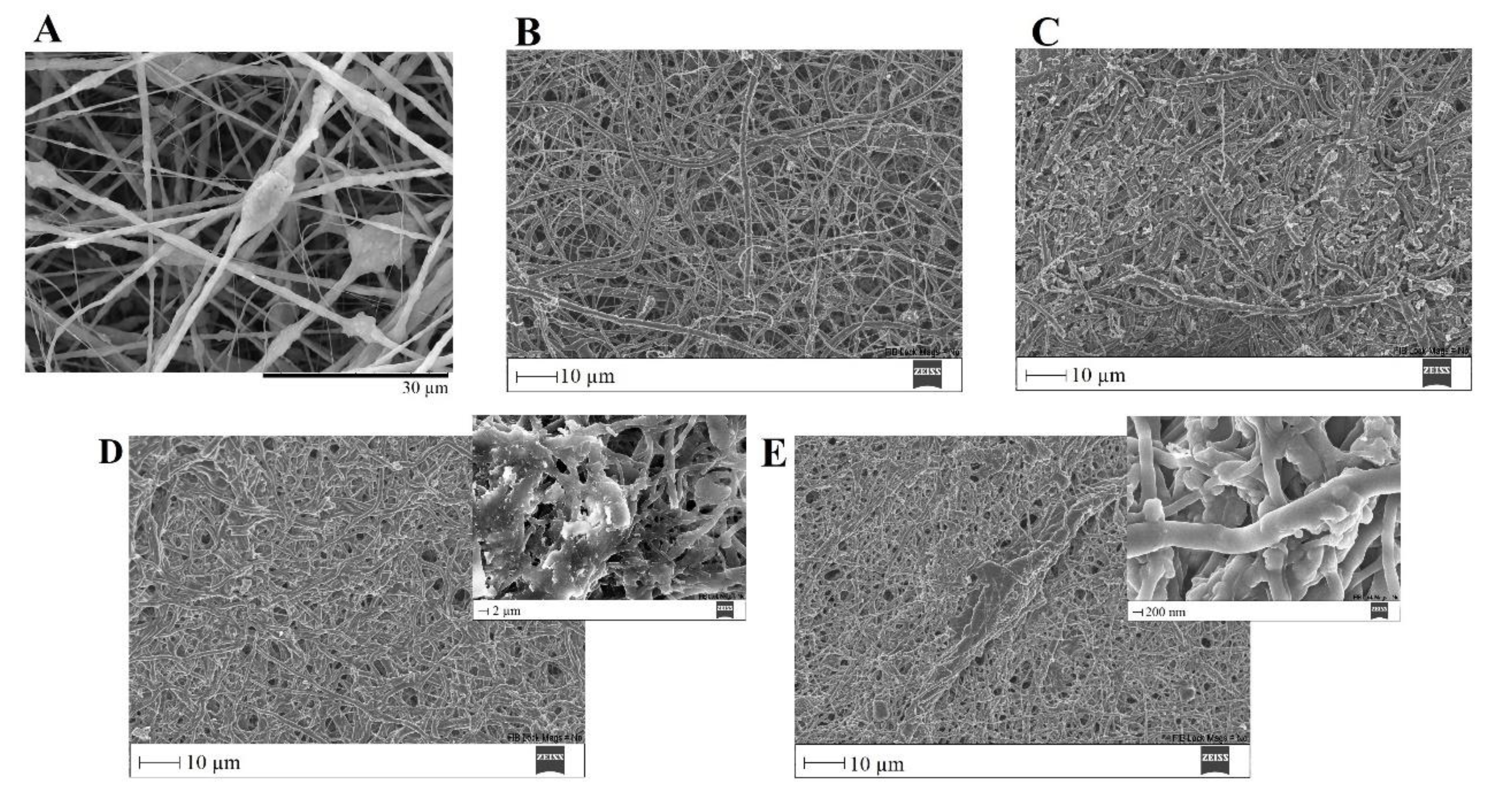 Preprints 71284 g017