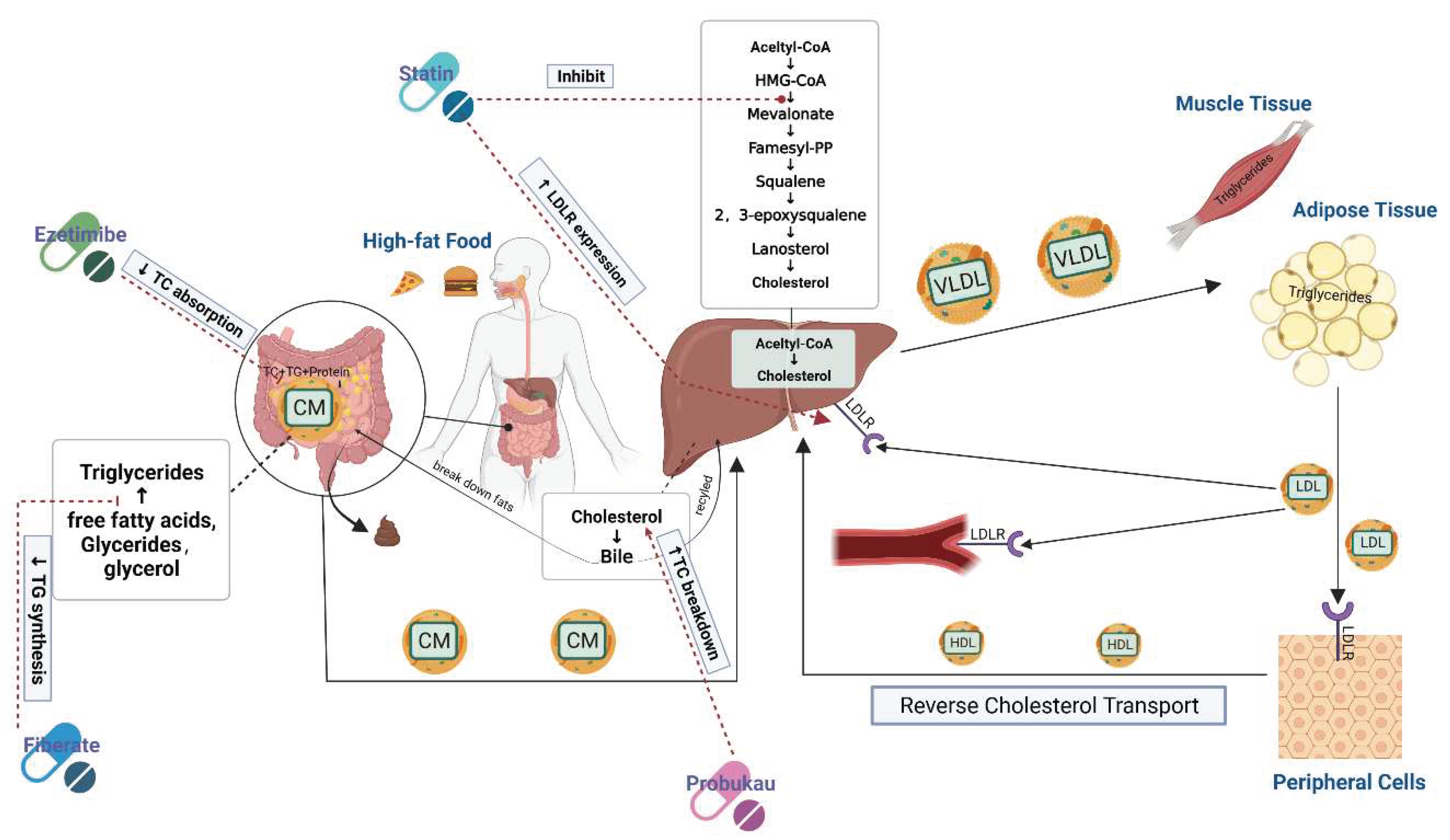 Preprints 89496 g004