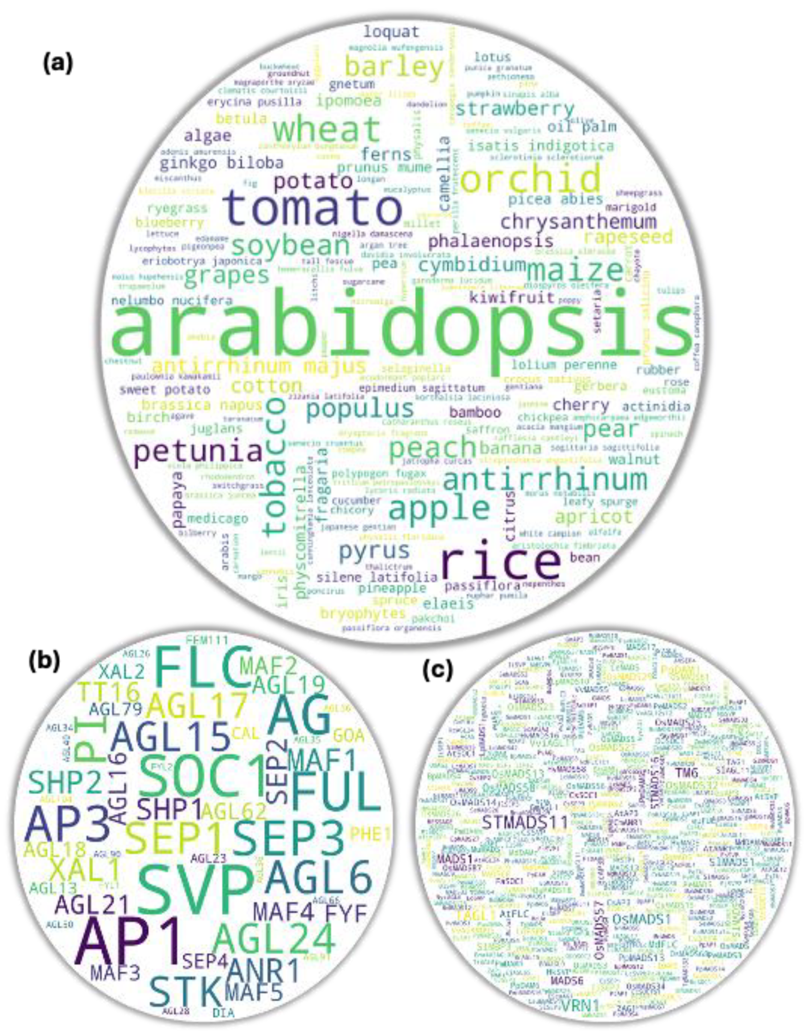 Preprints 107474 g001