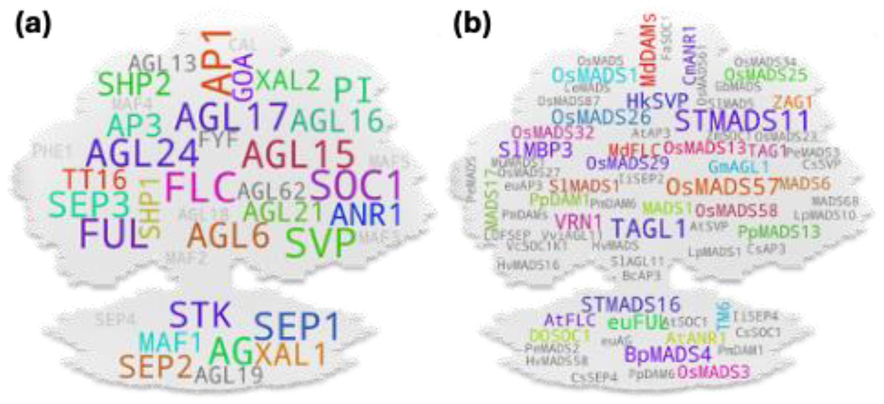 Preprints 107474 g002