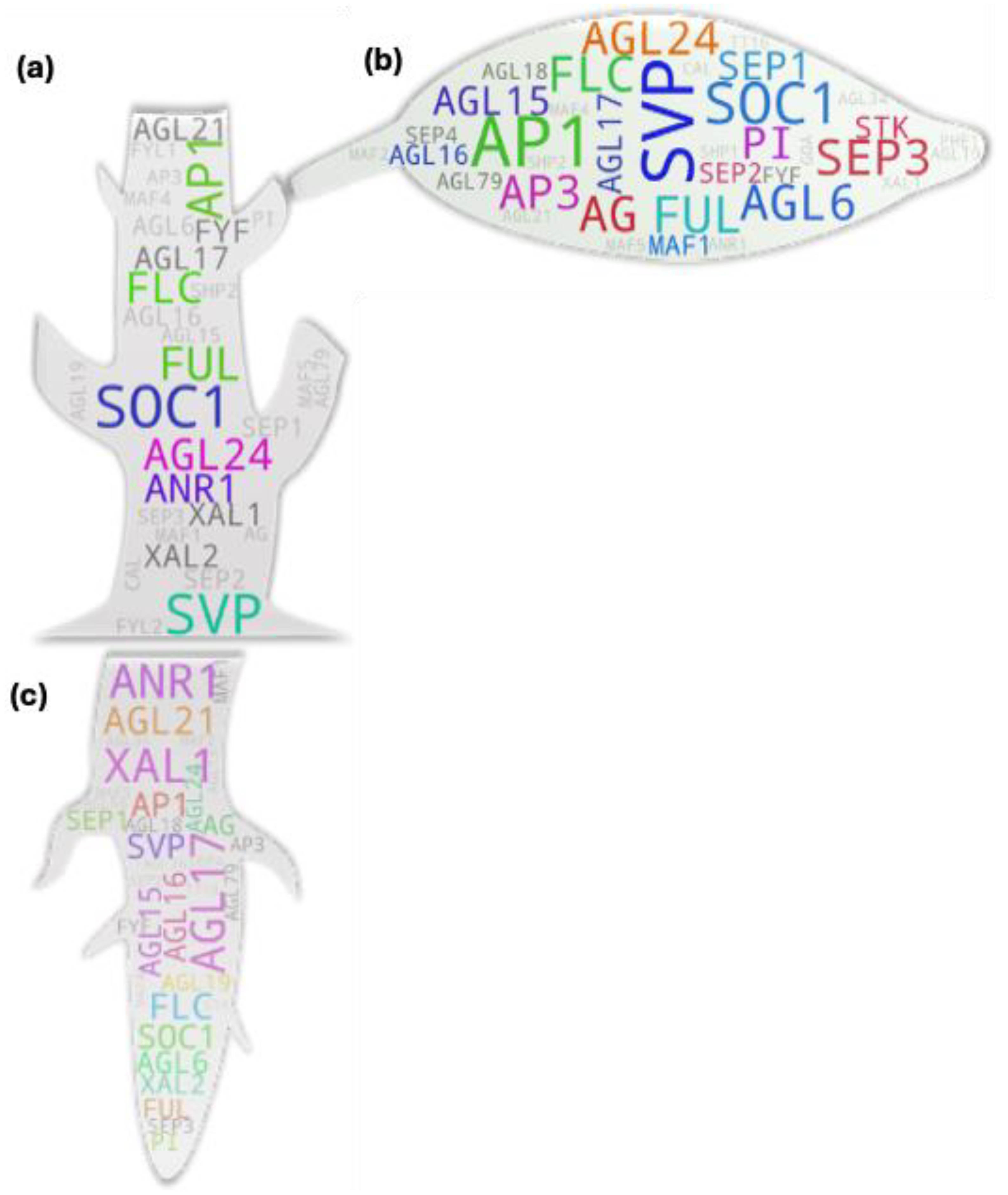 Preprints 107474 g003