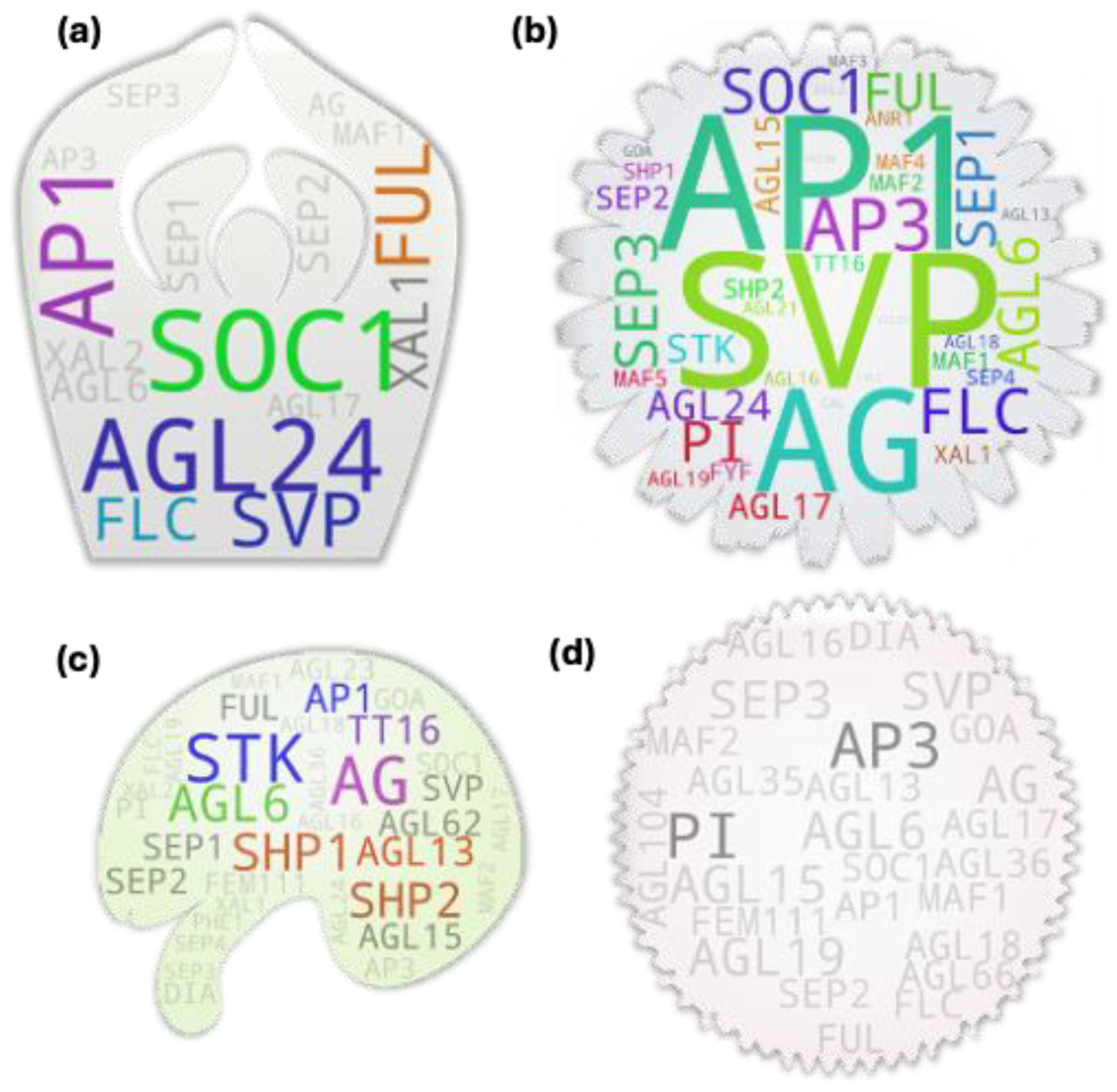 Preprints 107474 g004