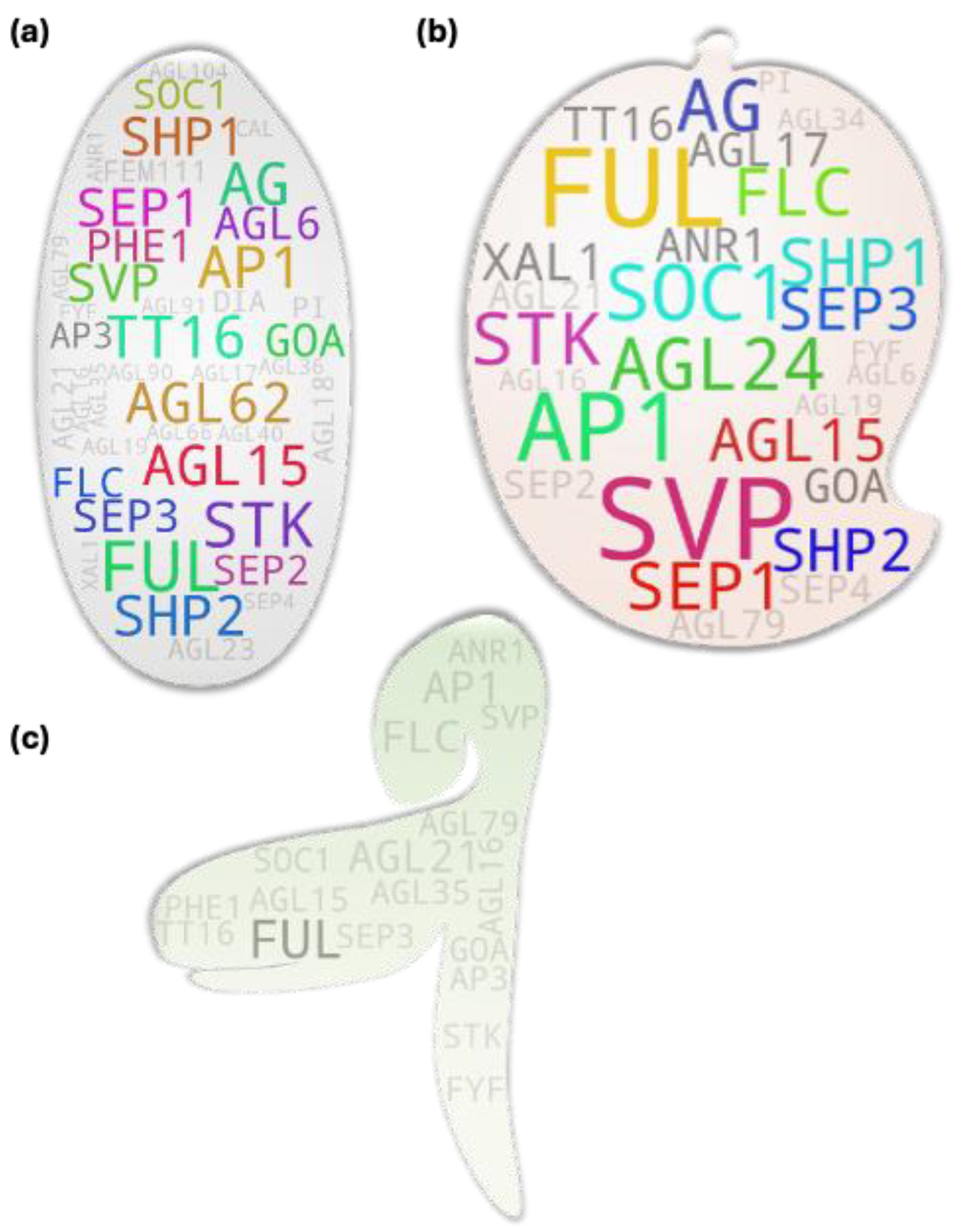 Preprints 107474 g005