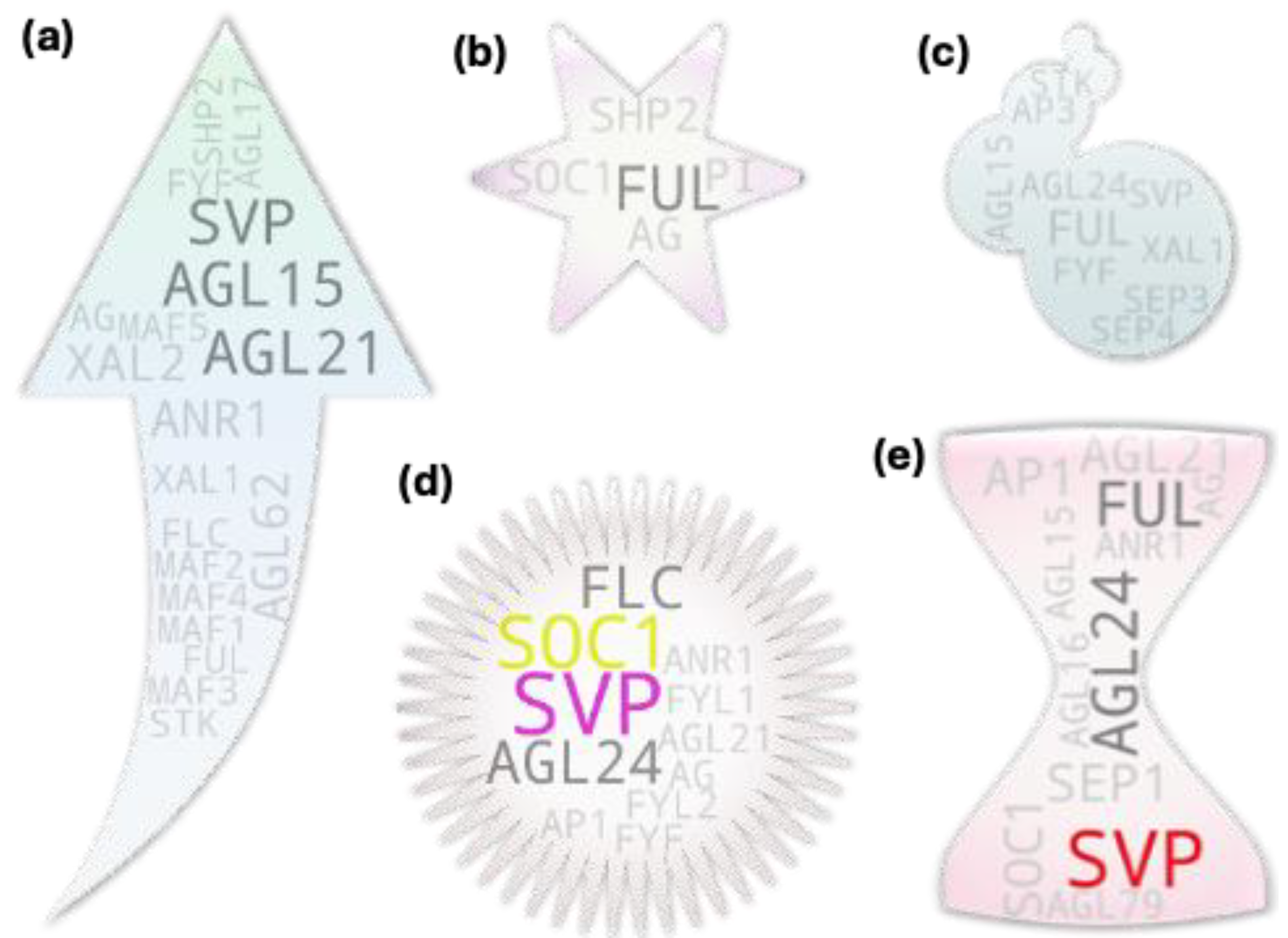 Preprints 107474 g006