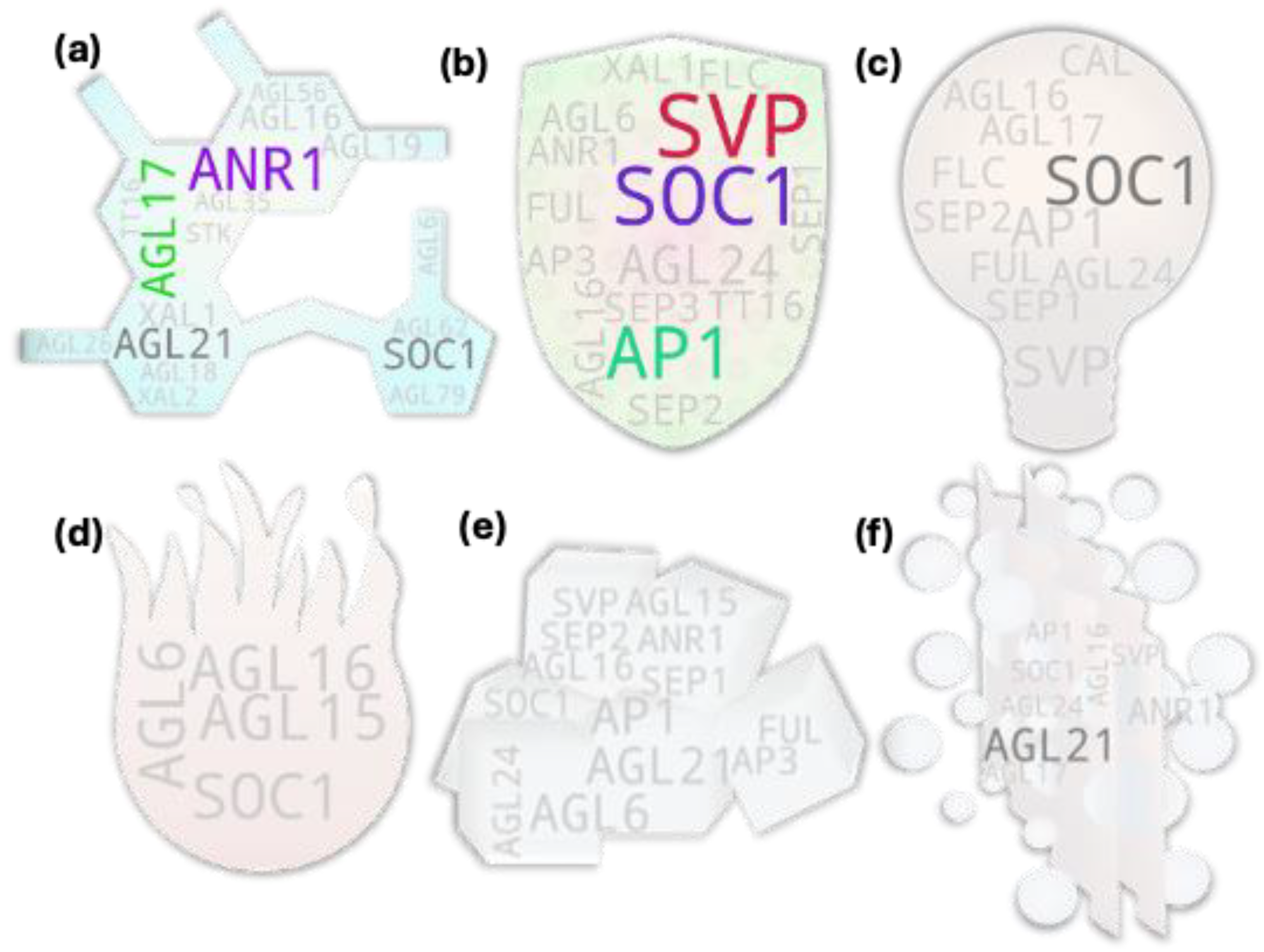 Preprints 107474 g007