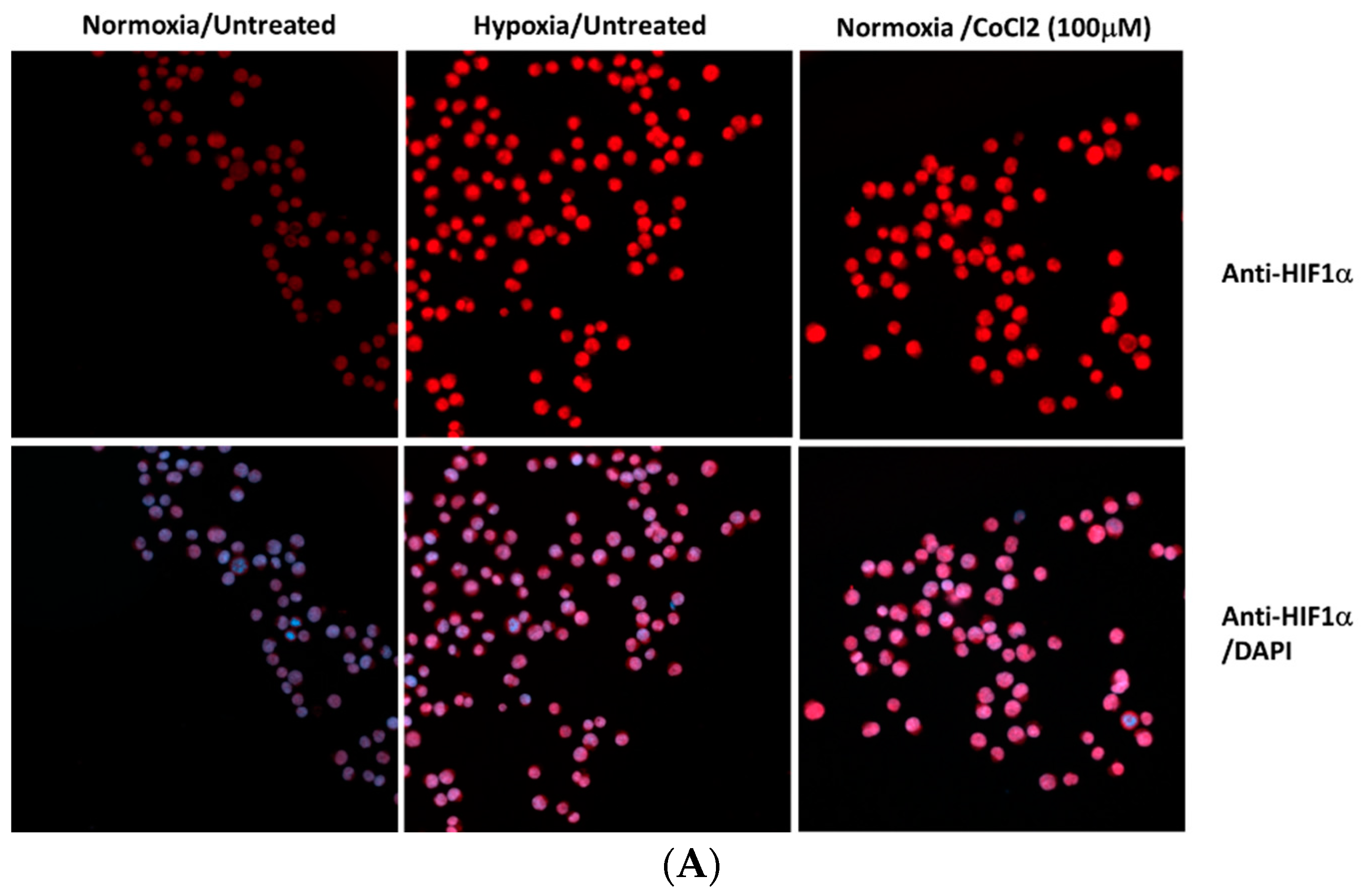 Preprints 85248 g001a