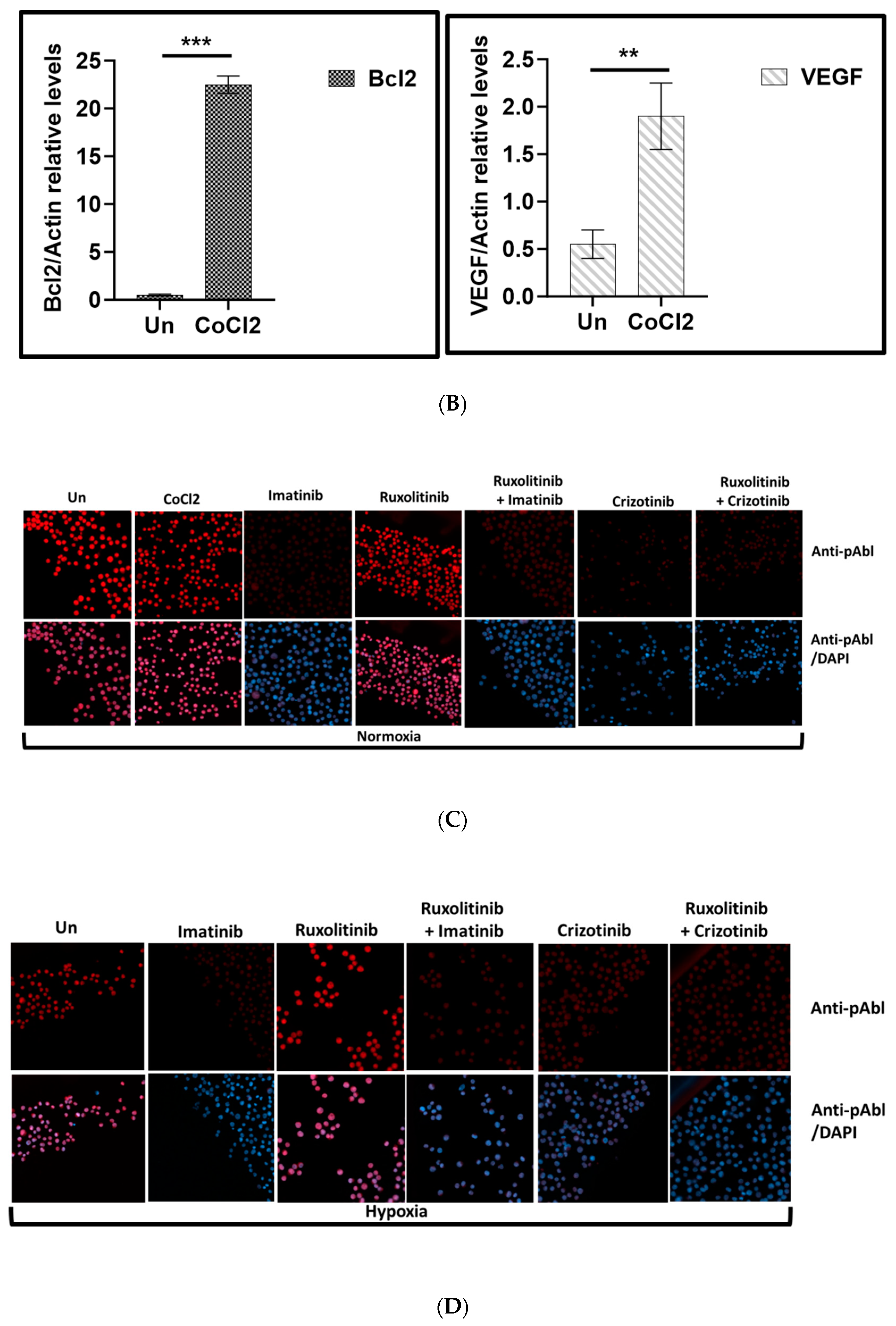 Preprints 85248 g001b