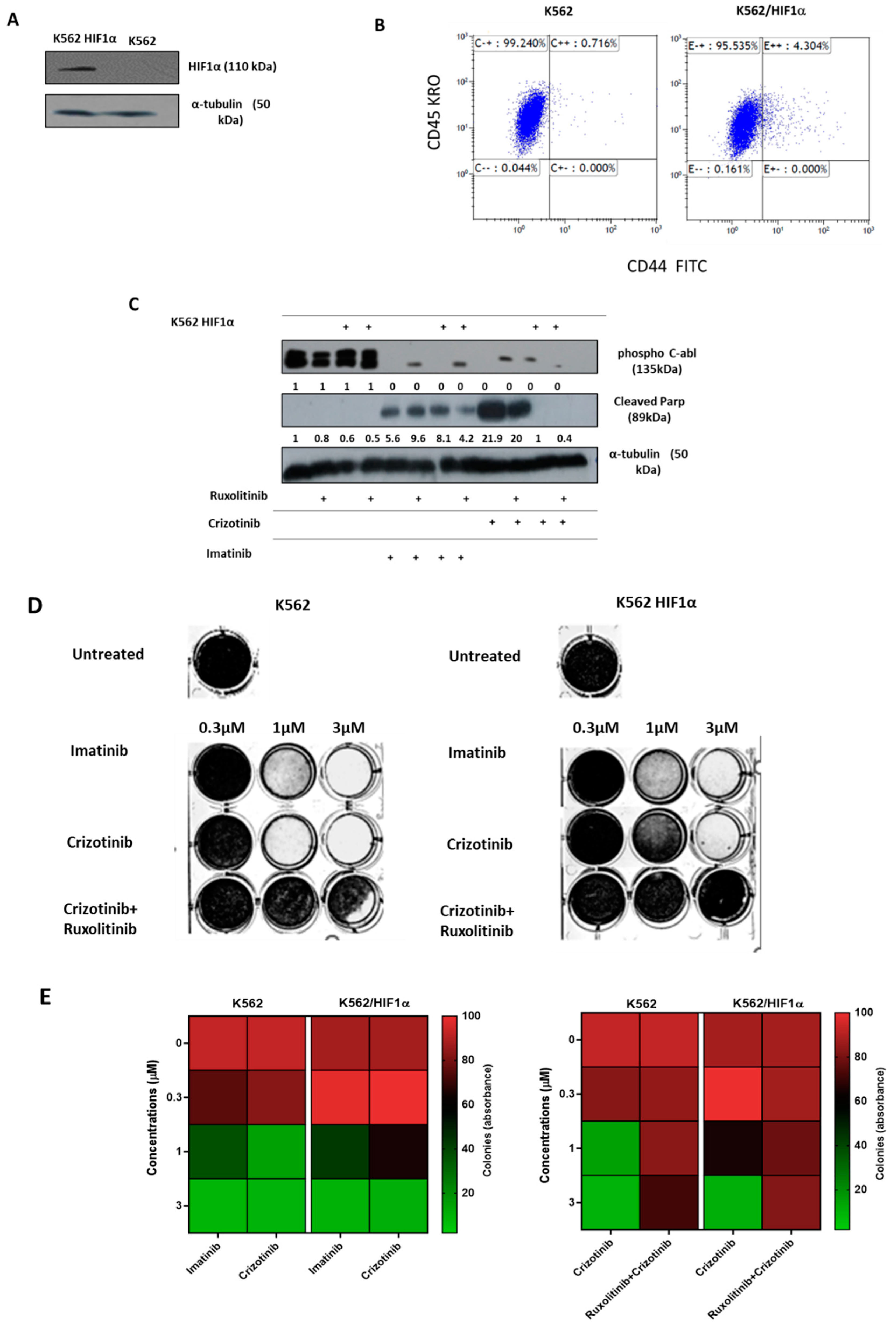 Preprints 85248 g003