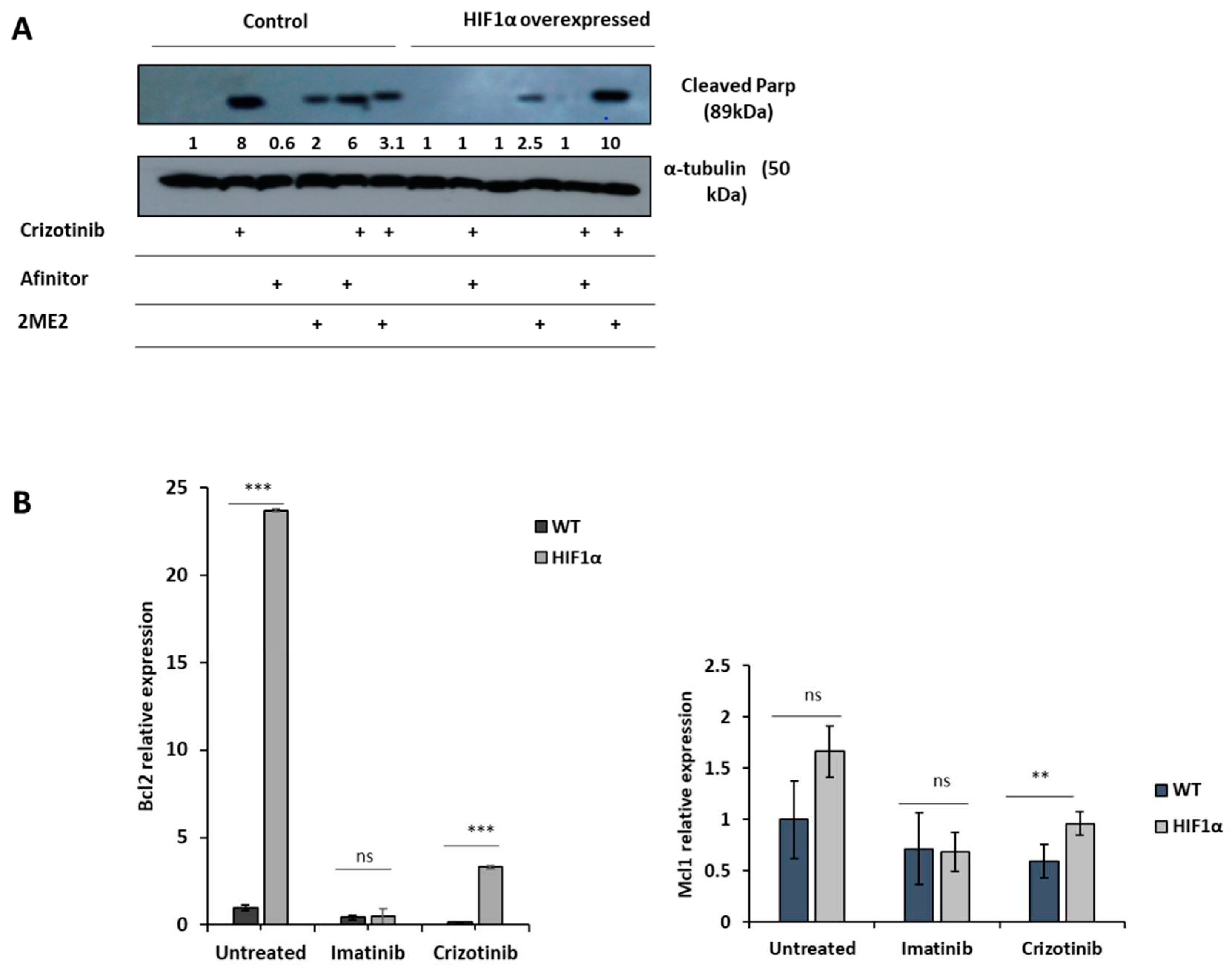 Preprints 85248 g005