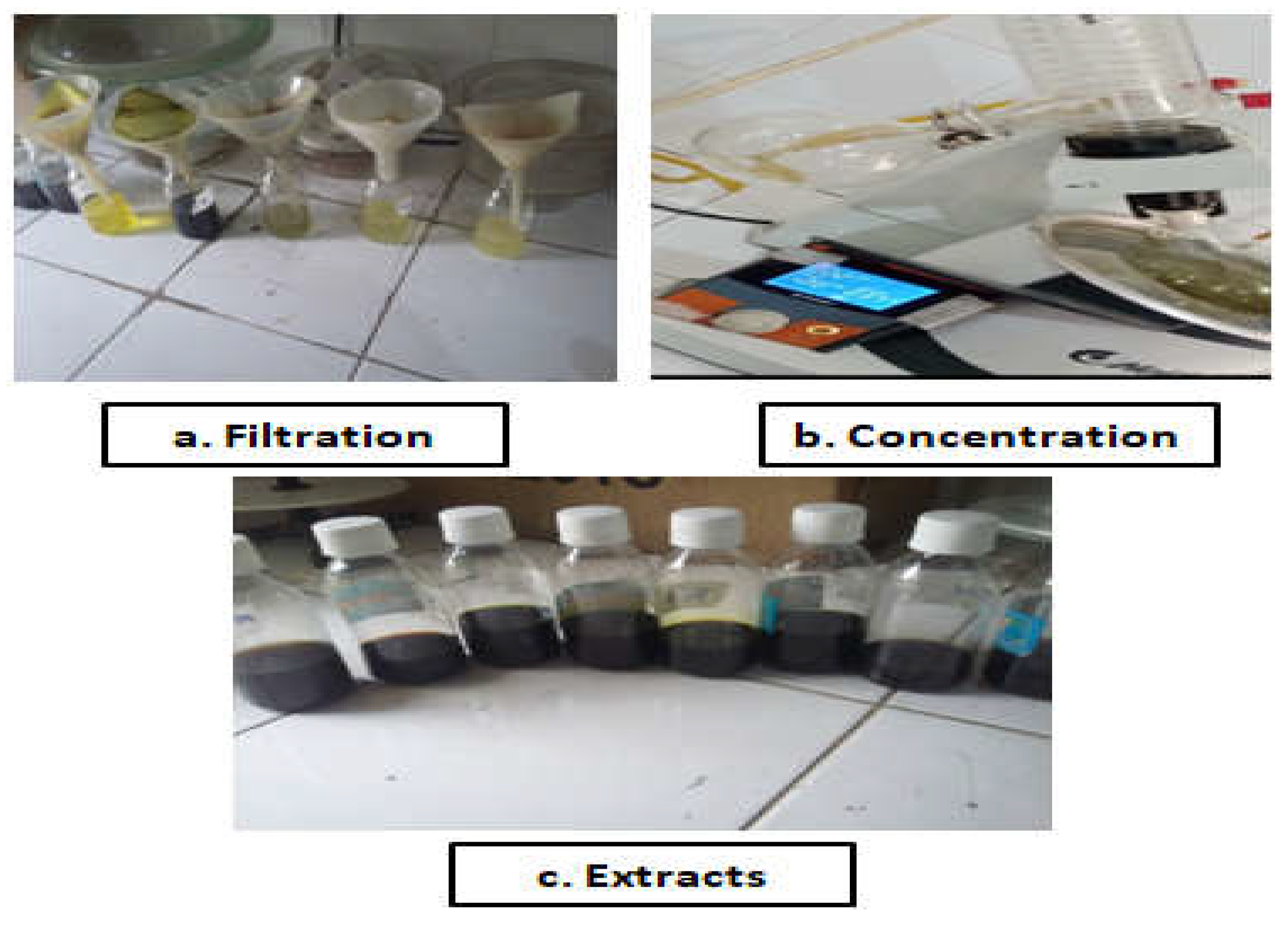 Preprints 103911 g001