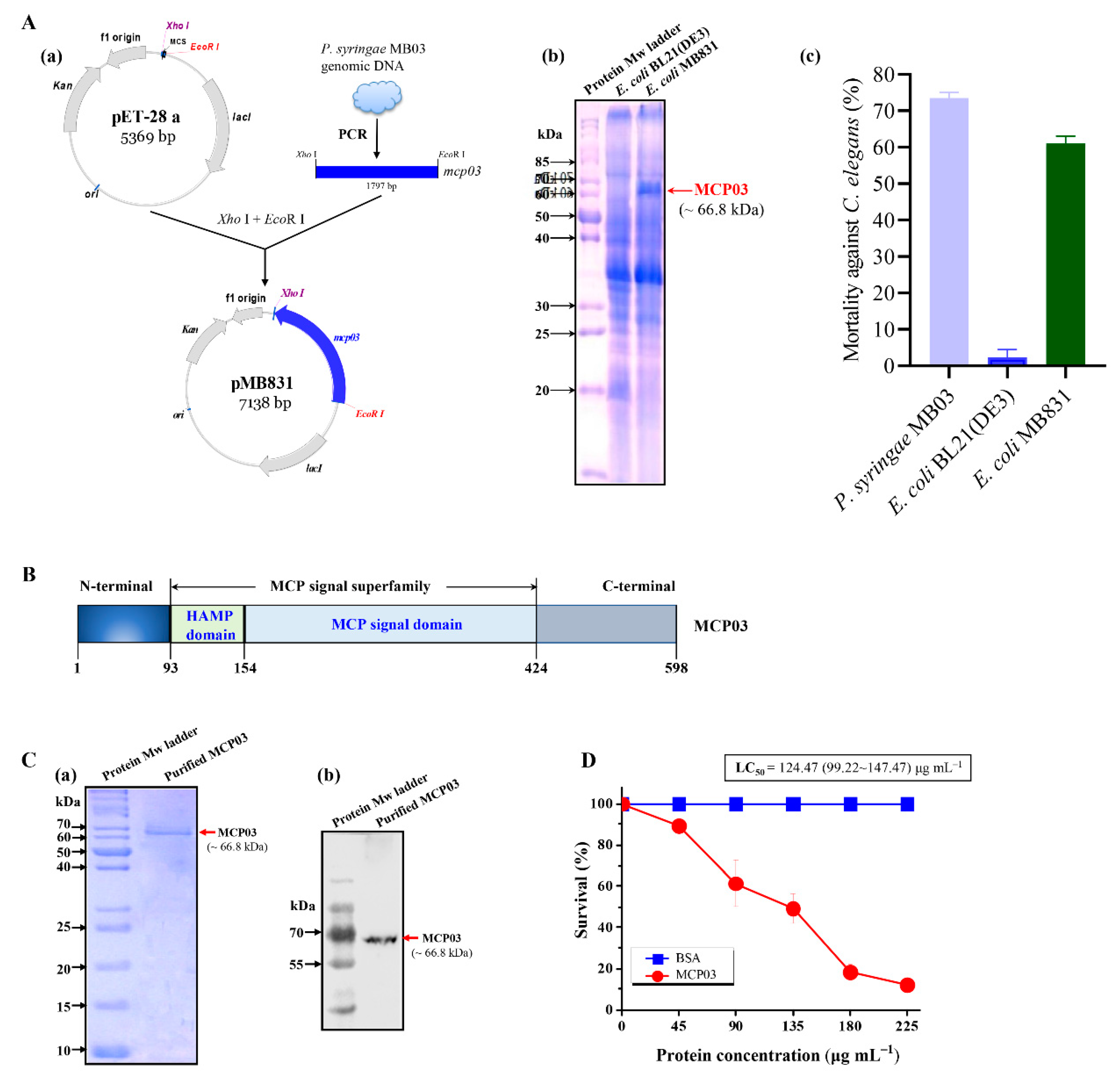 Preprints 83338 g001