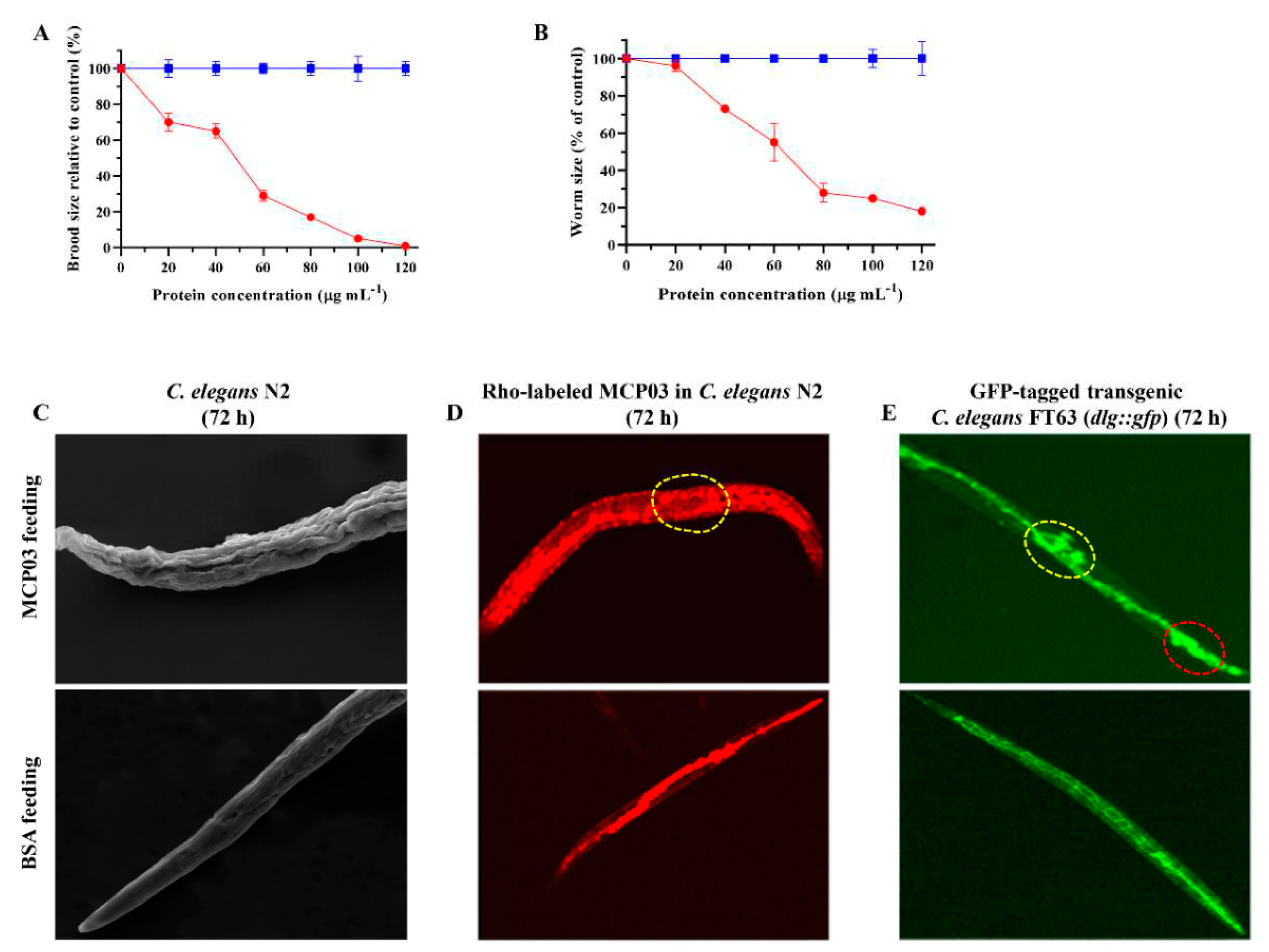 Preprints 83338 g002