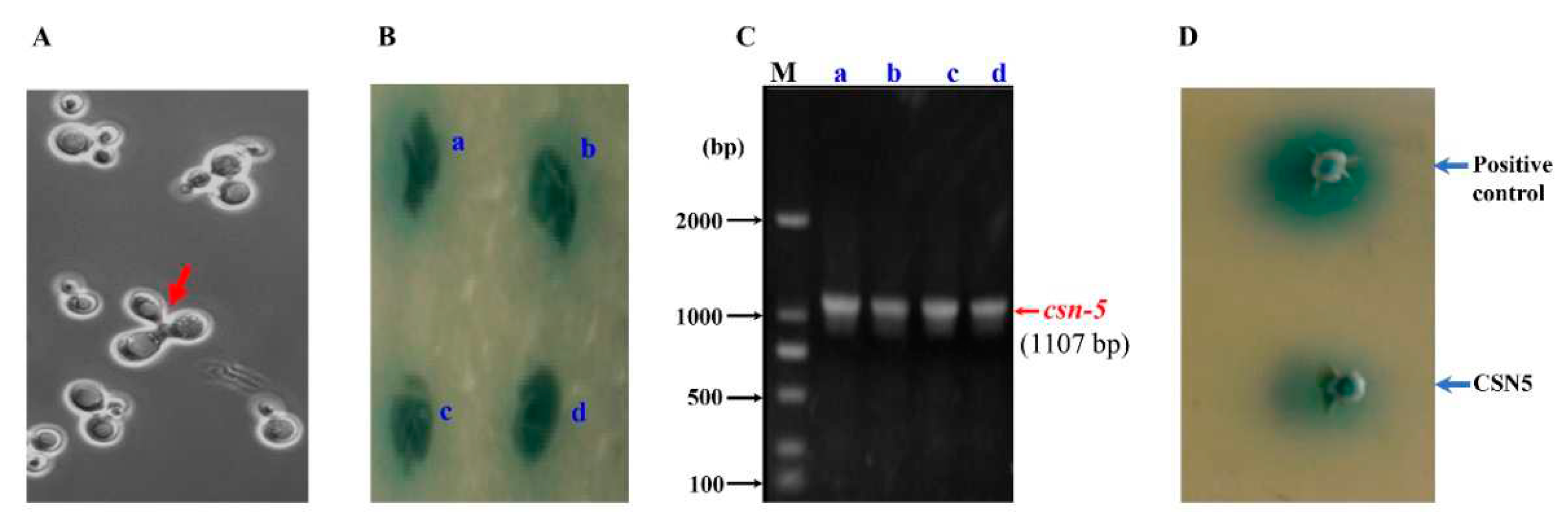 Preprints 83338 g003