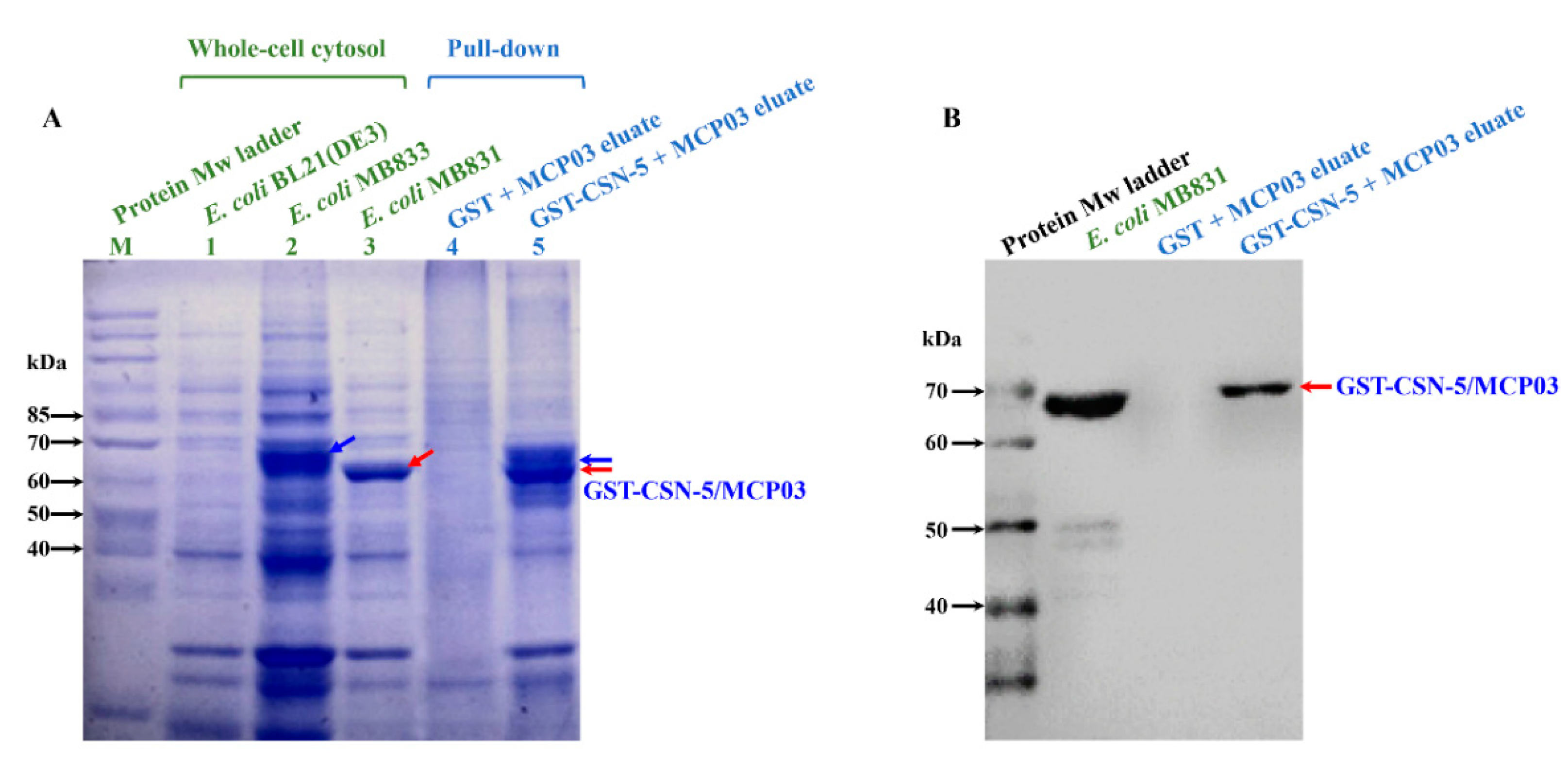 Preprints 83338 g004