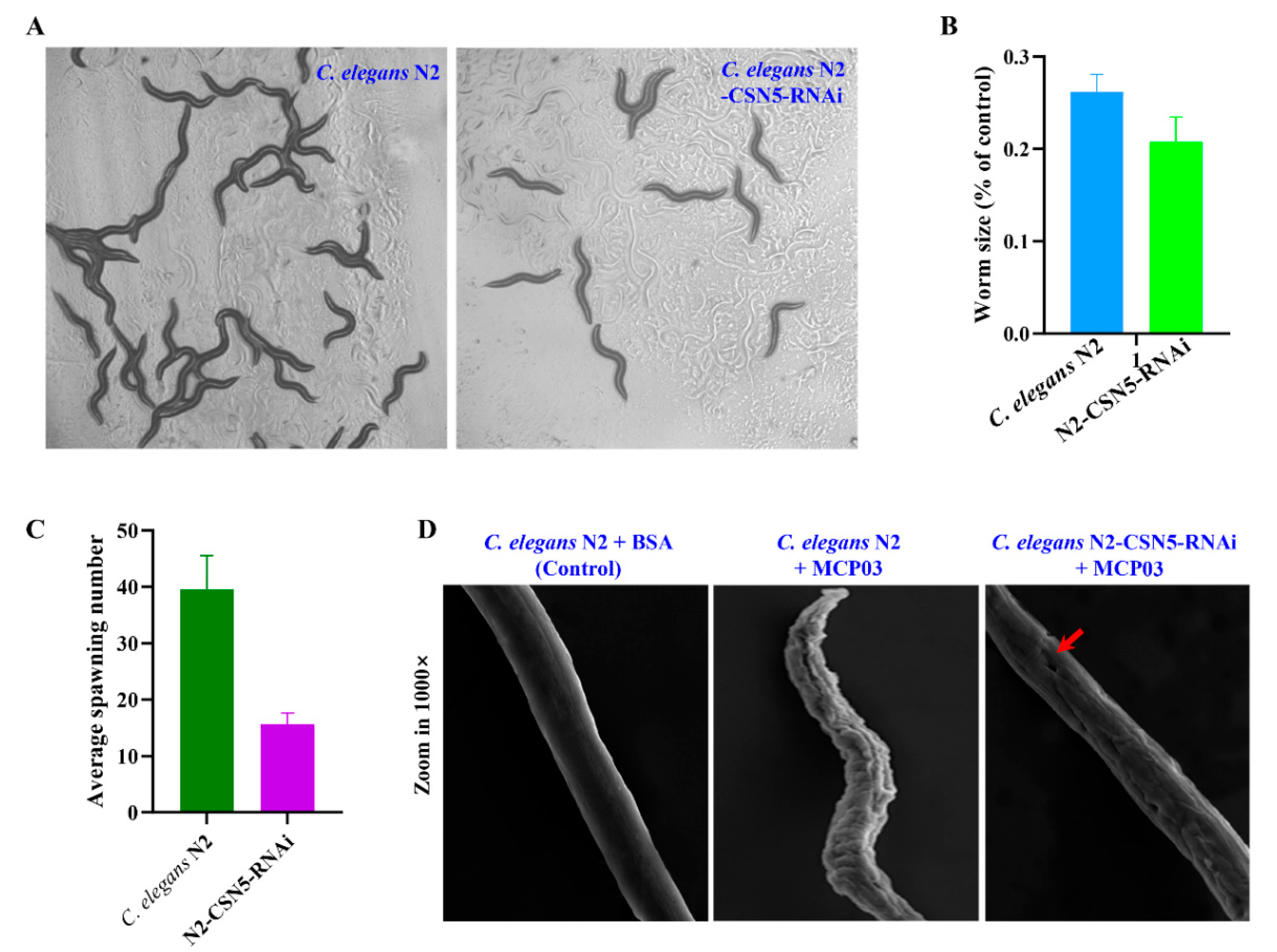 Preprints 83338 g006