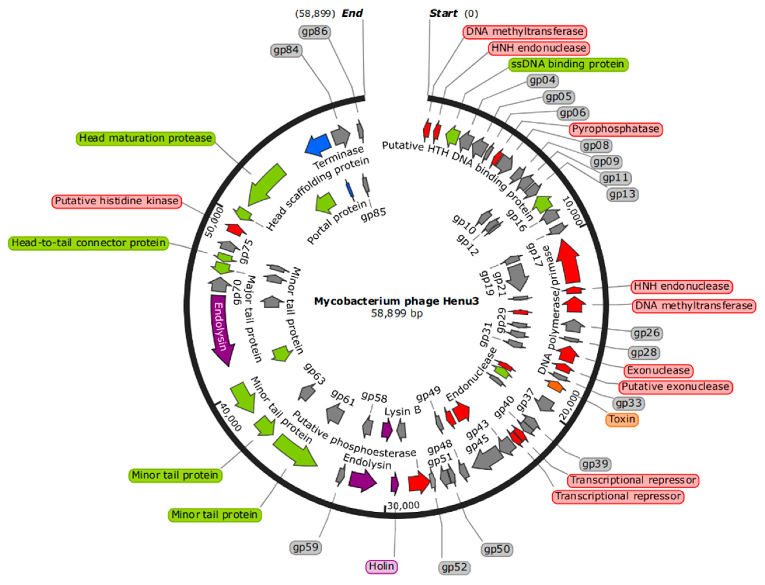 Preprints 113886 g004