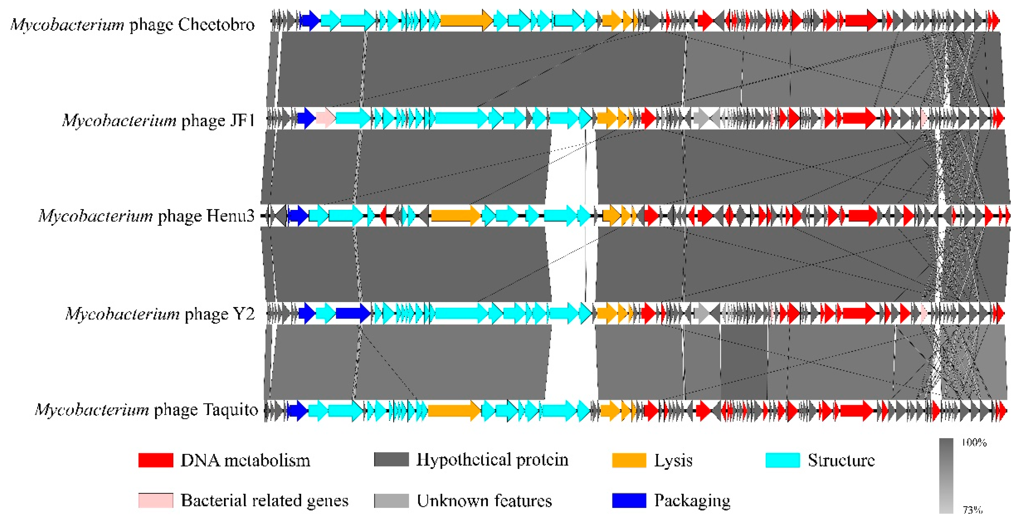 Preprints 113886 g006