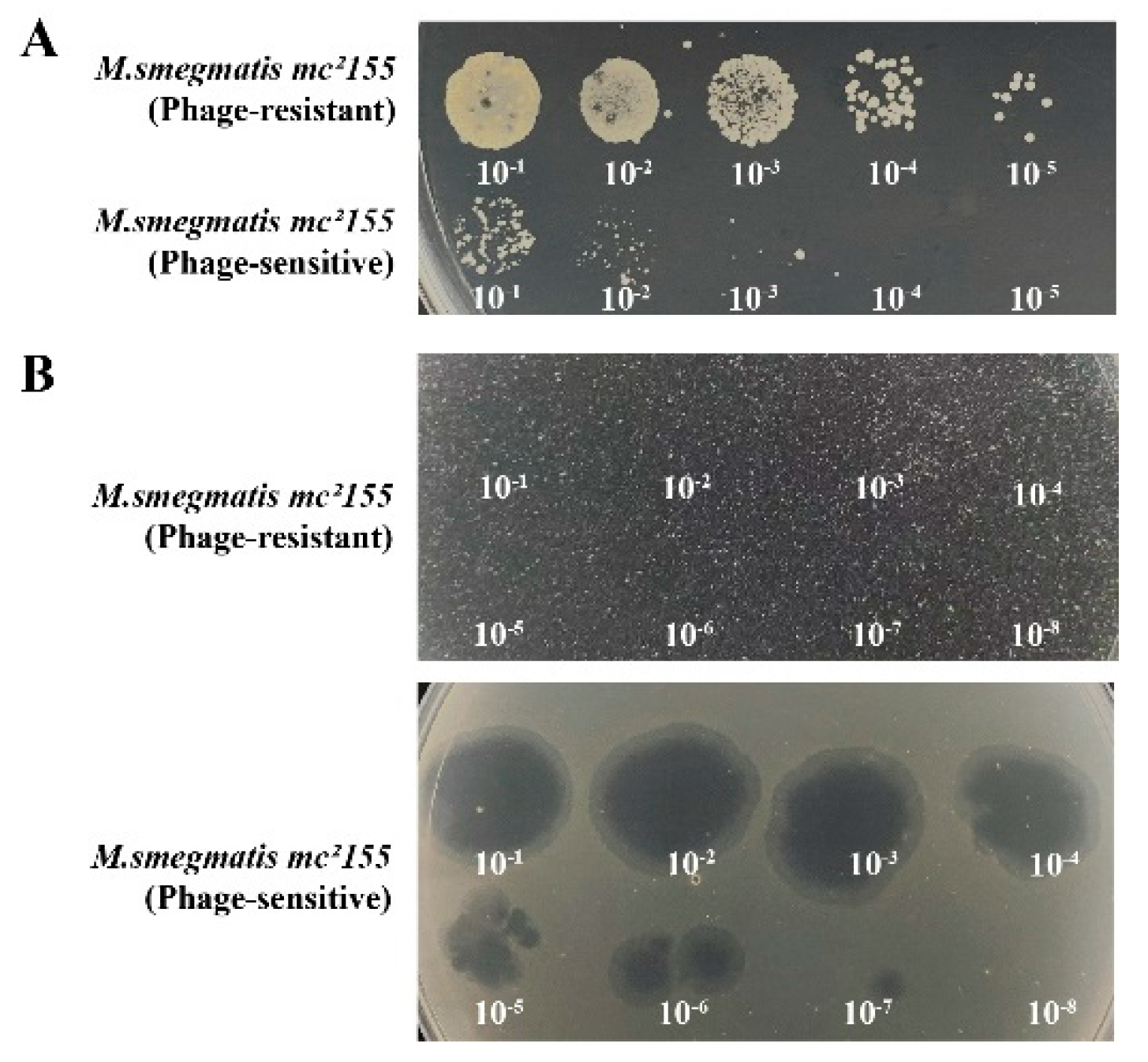 Preprints 113886 g007