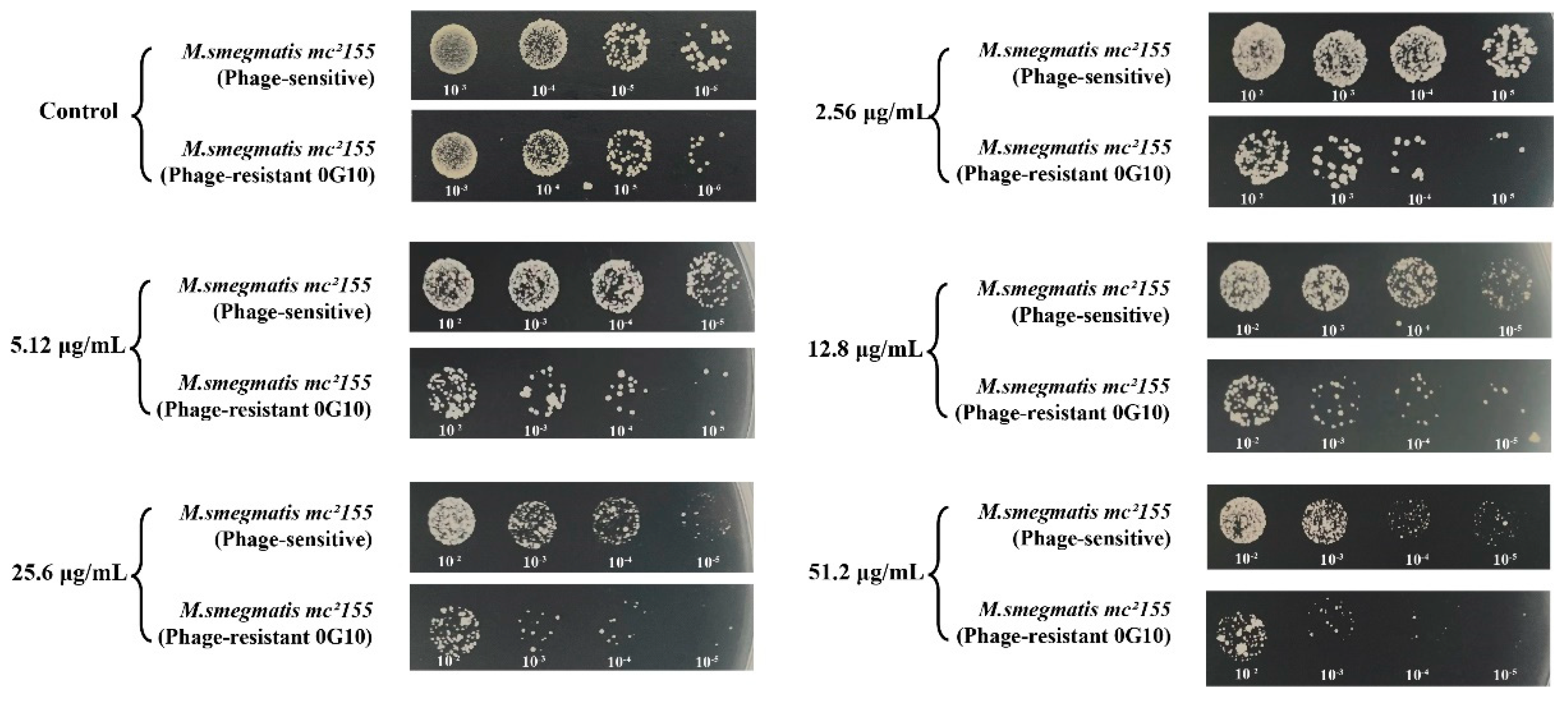 Preprints 113886 g008