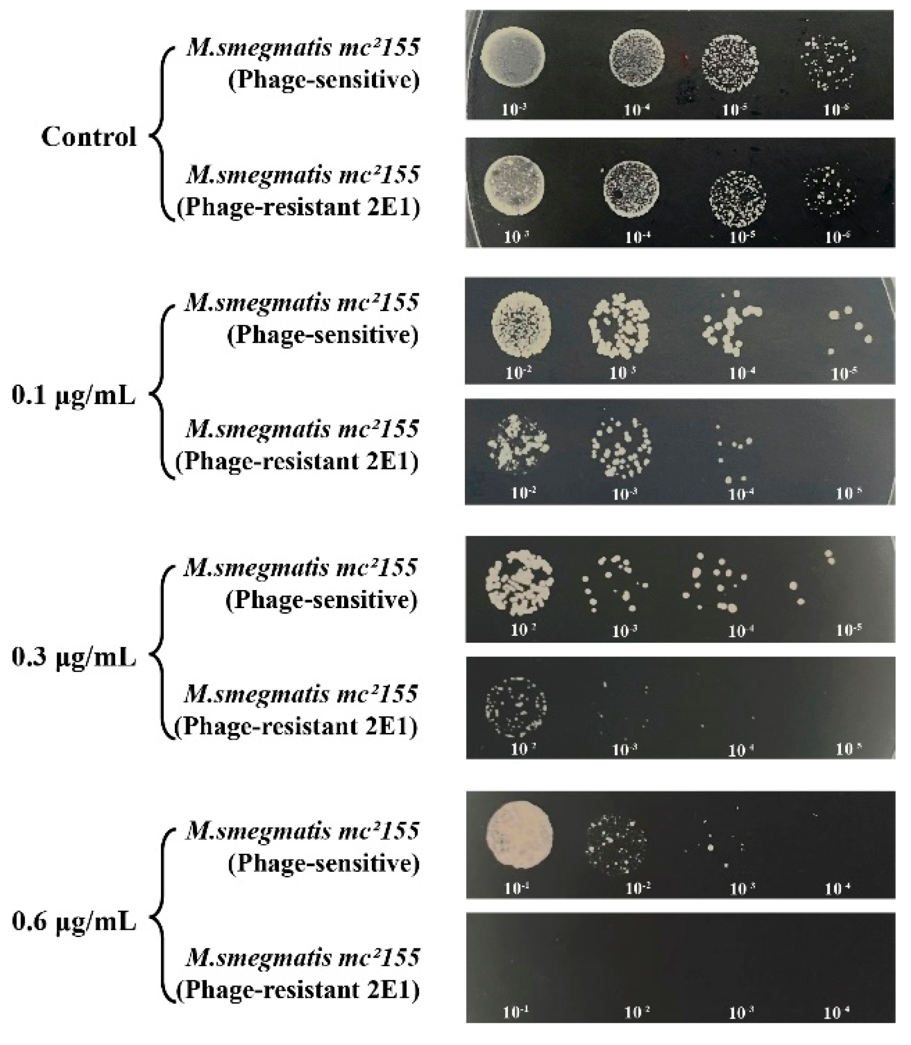 Preprints 113886 g009