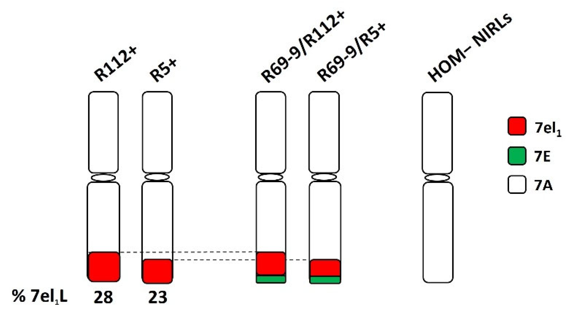 Preprints 114173 g001