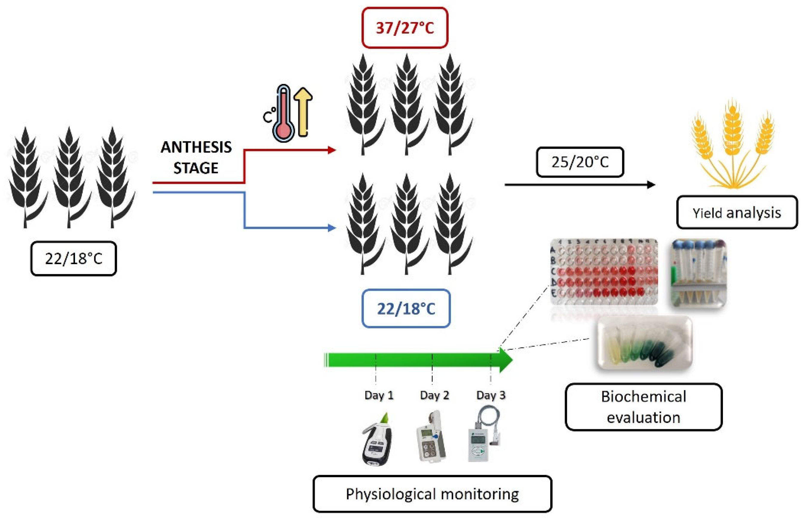 Preprints 114173 g002